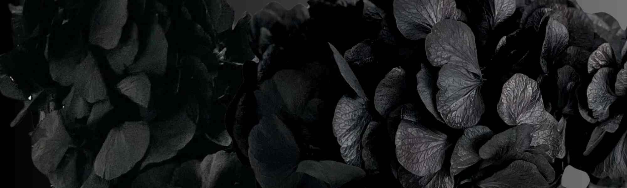 Black Friday 25% - CODE "BF25"