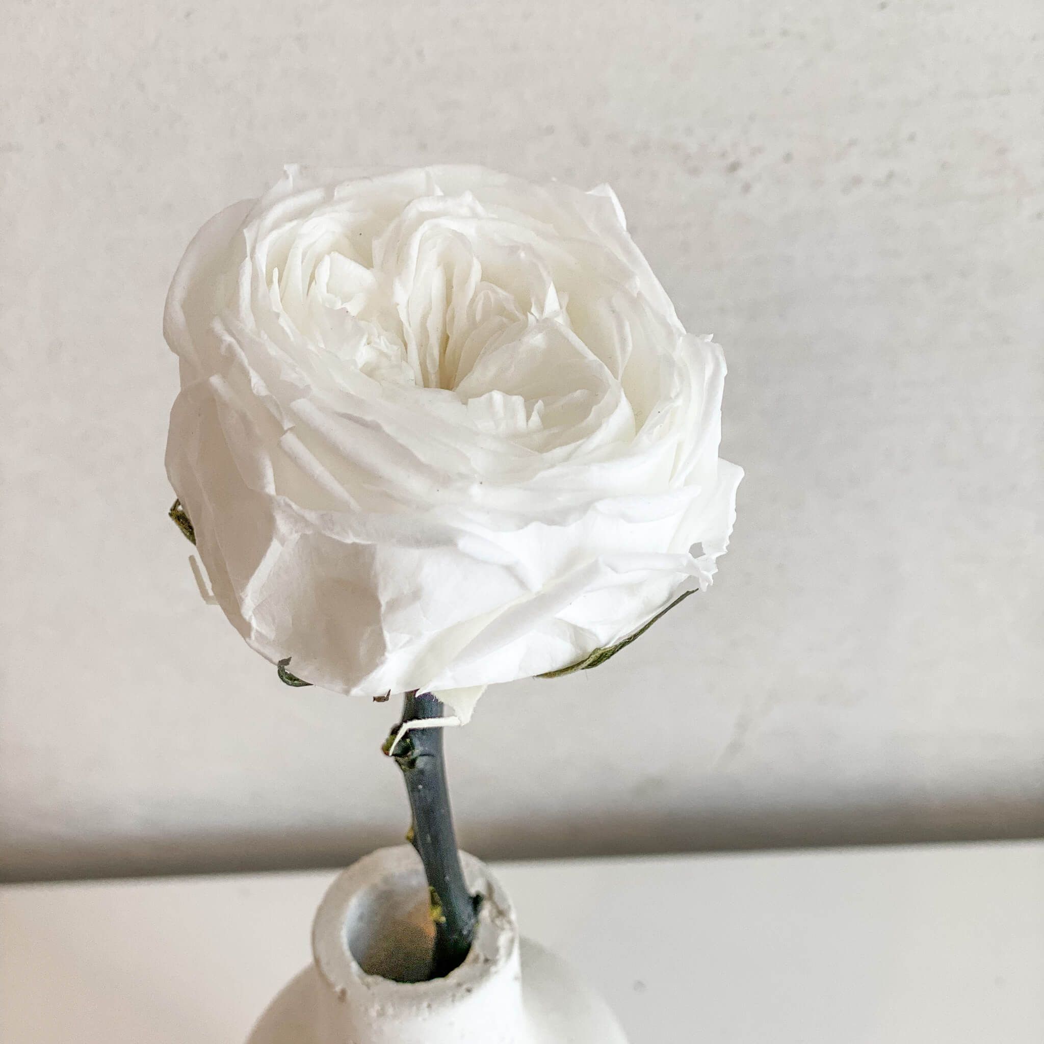 Trockenblumen Valentinstag
