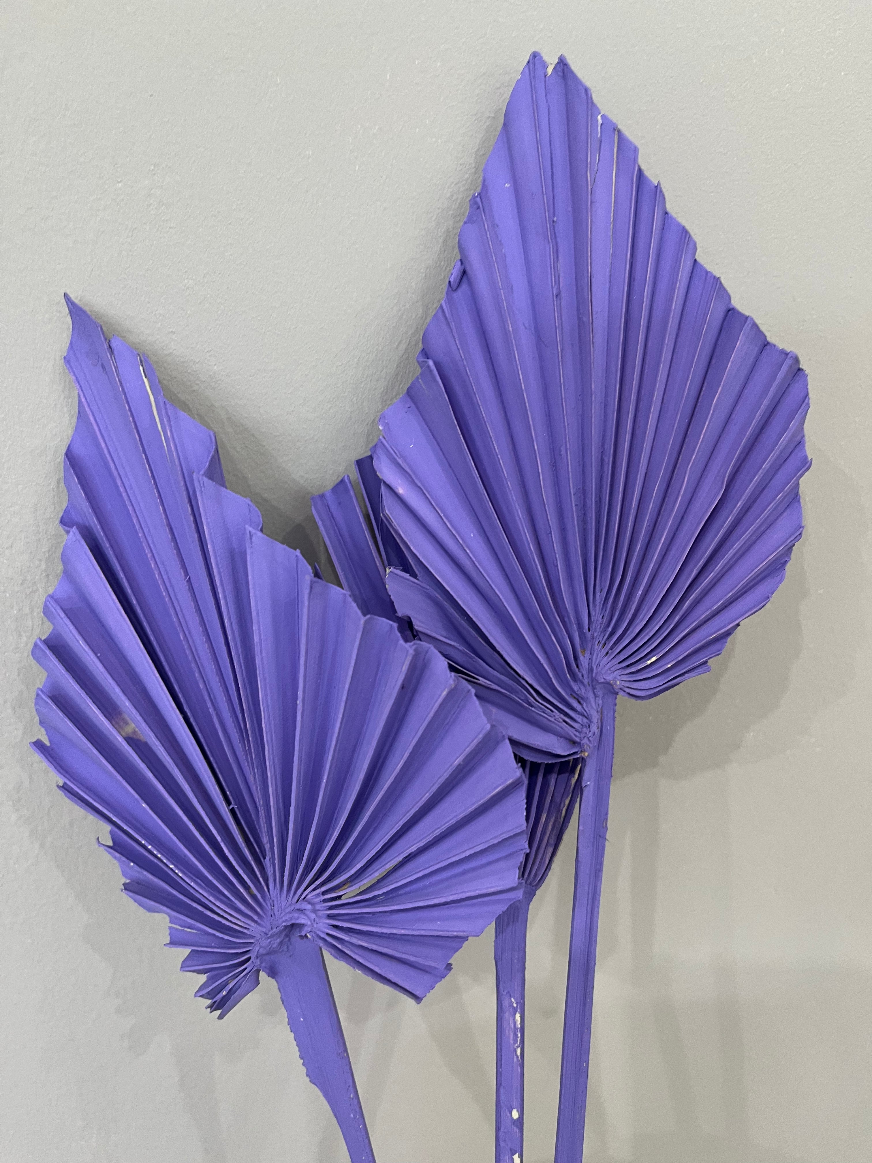 Palm spears