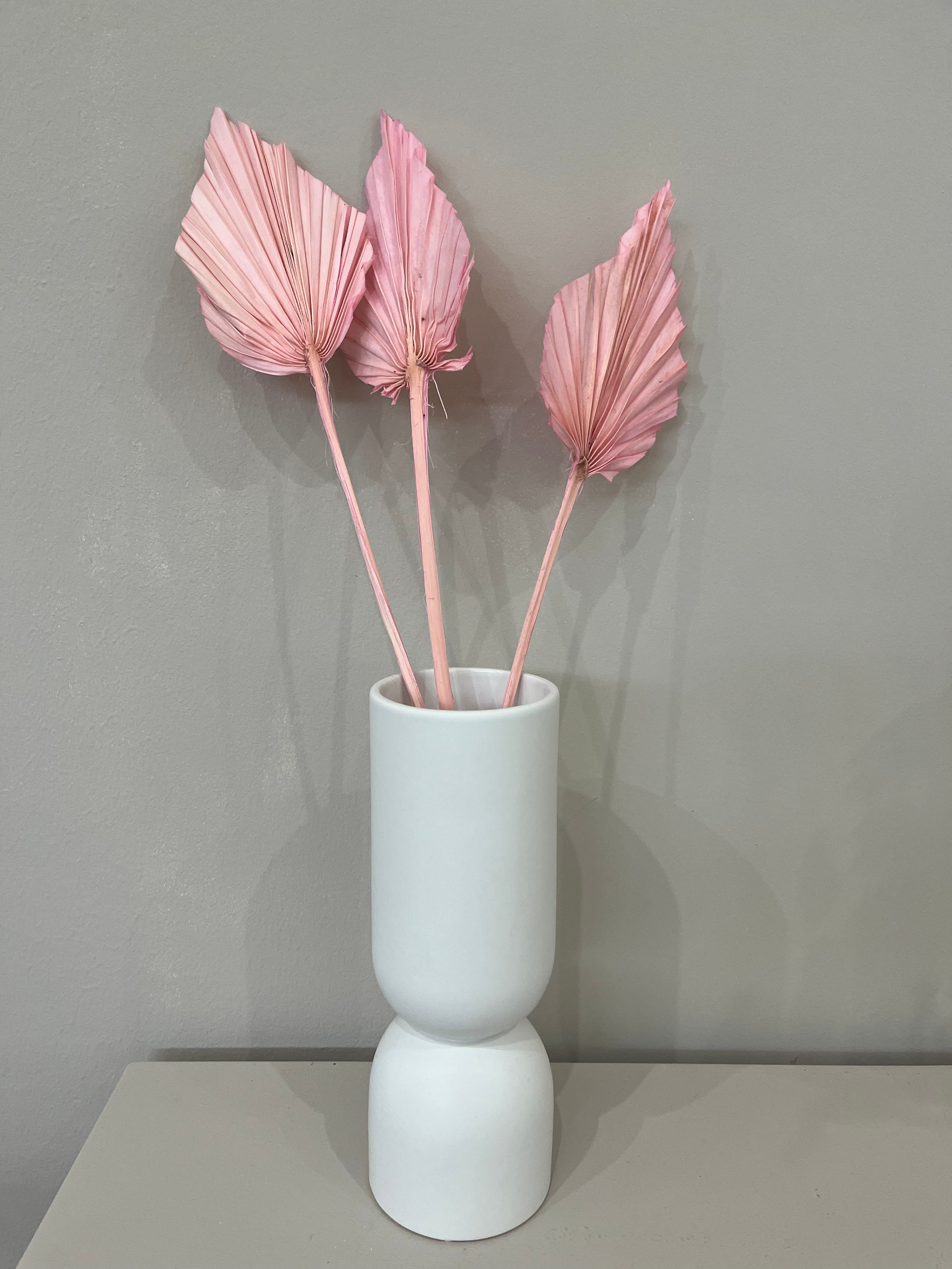 Palm spears