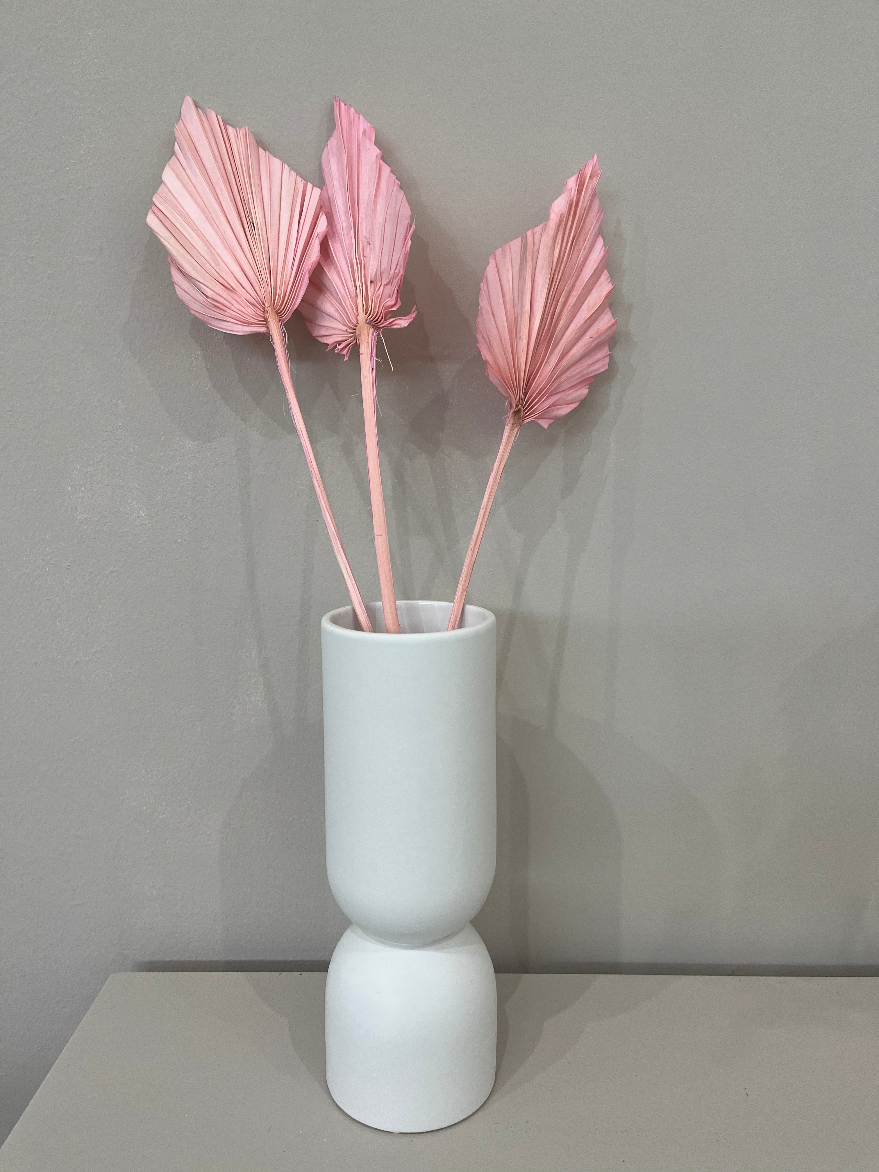 Palm spears