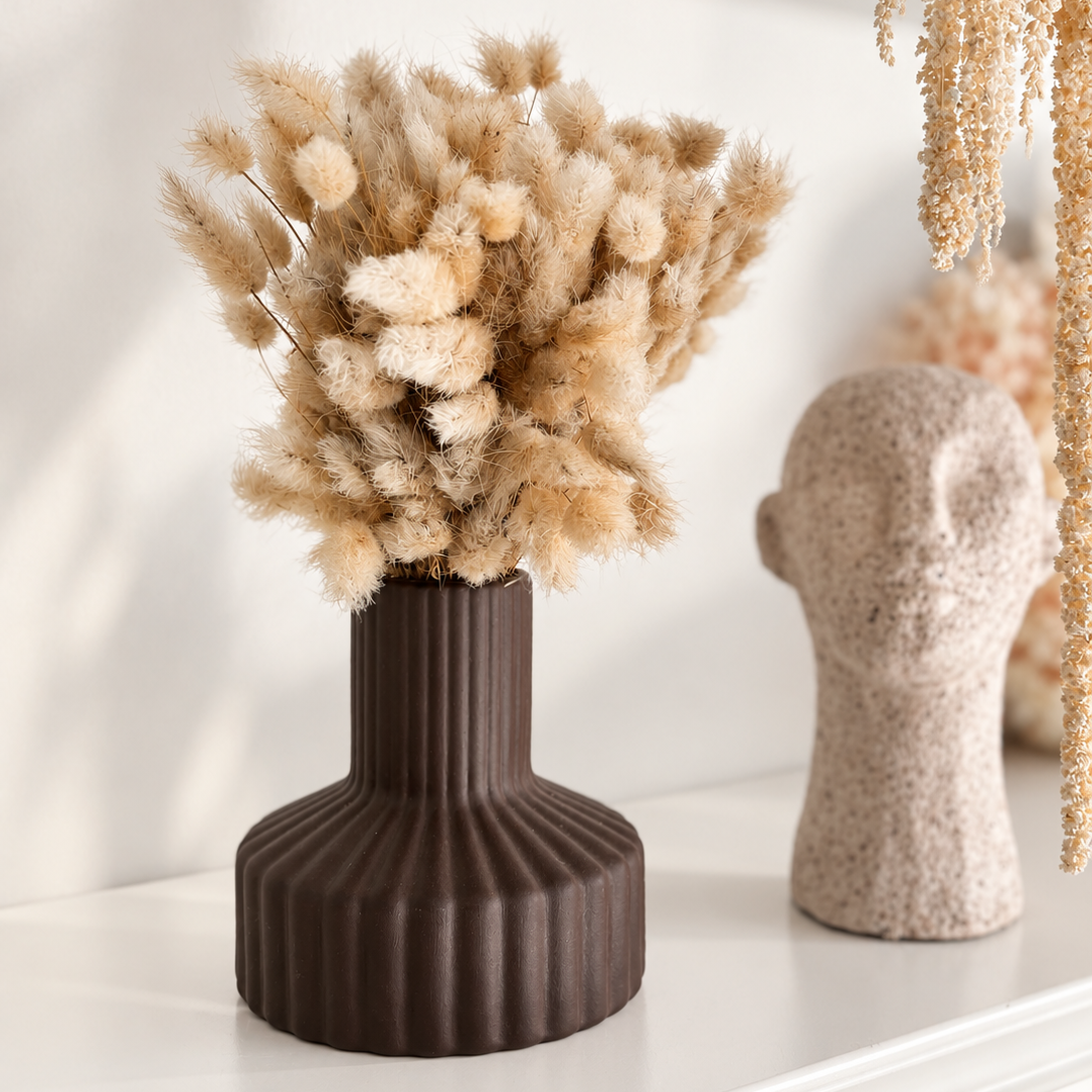Lagurus Mini Bund beige - OUTLET