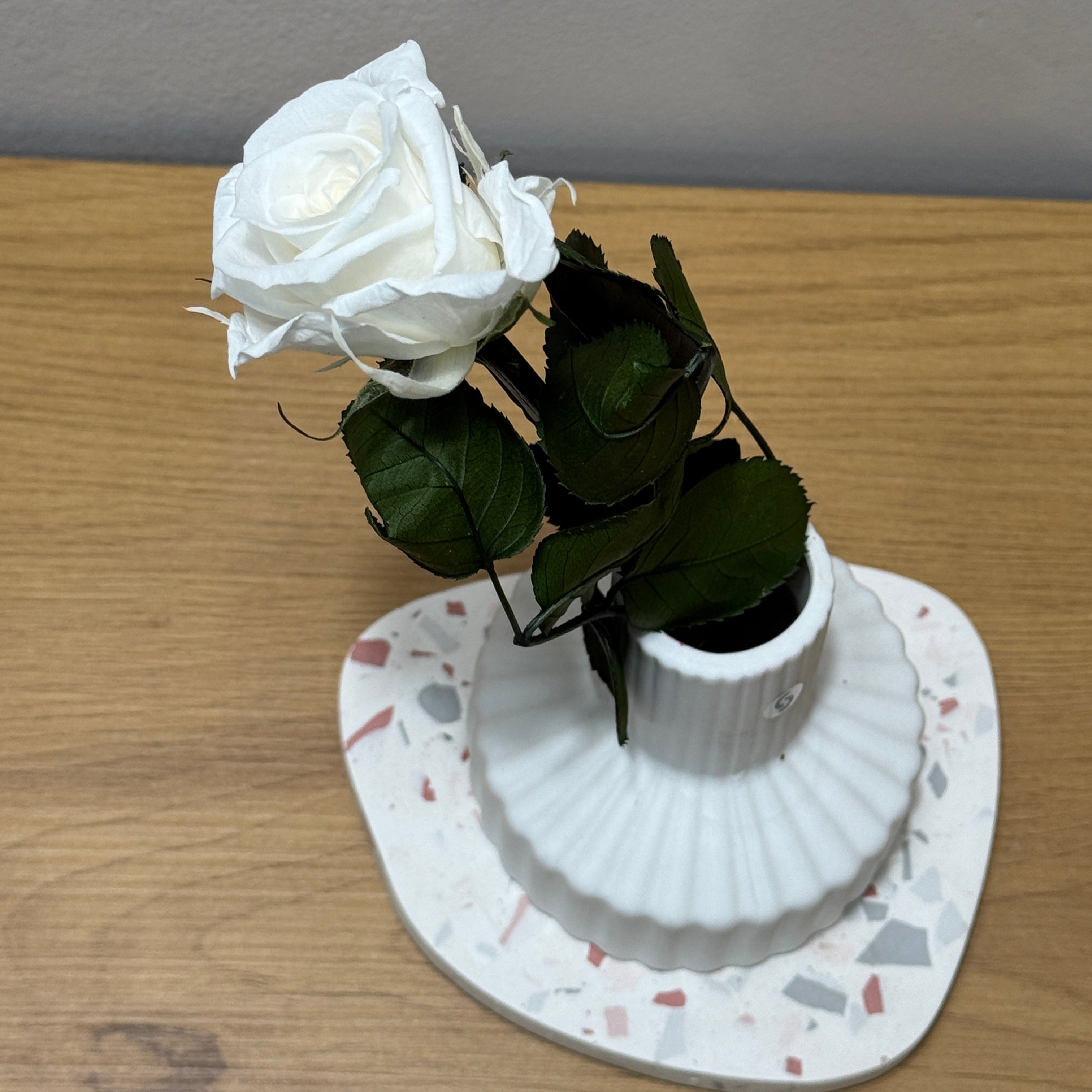 Konservierte/gefriergetrocknete, Rosen: Zeitlose Eleganz für die Ewigkeit