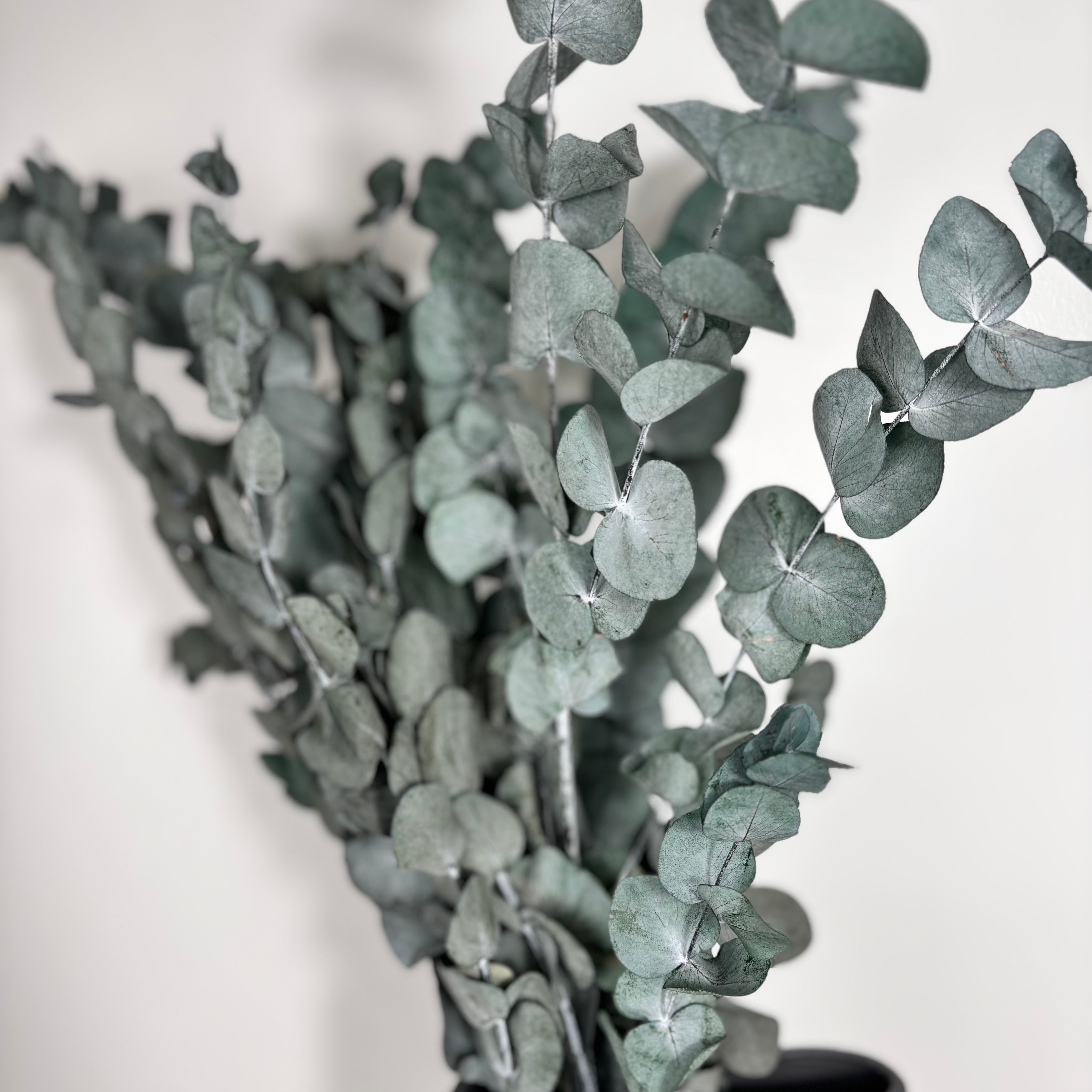 grün 60 cm