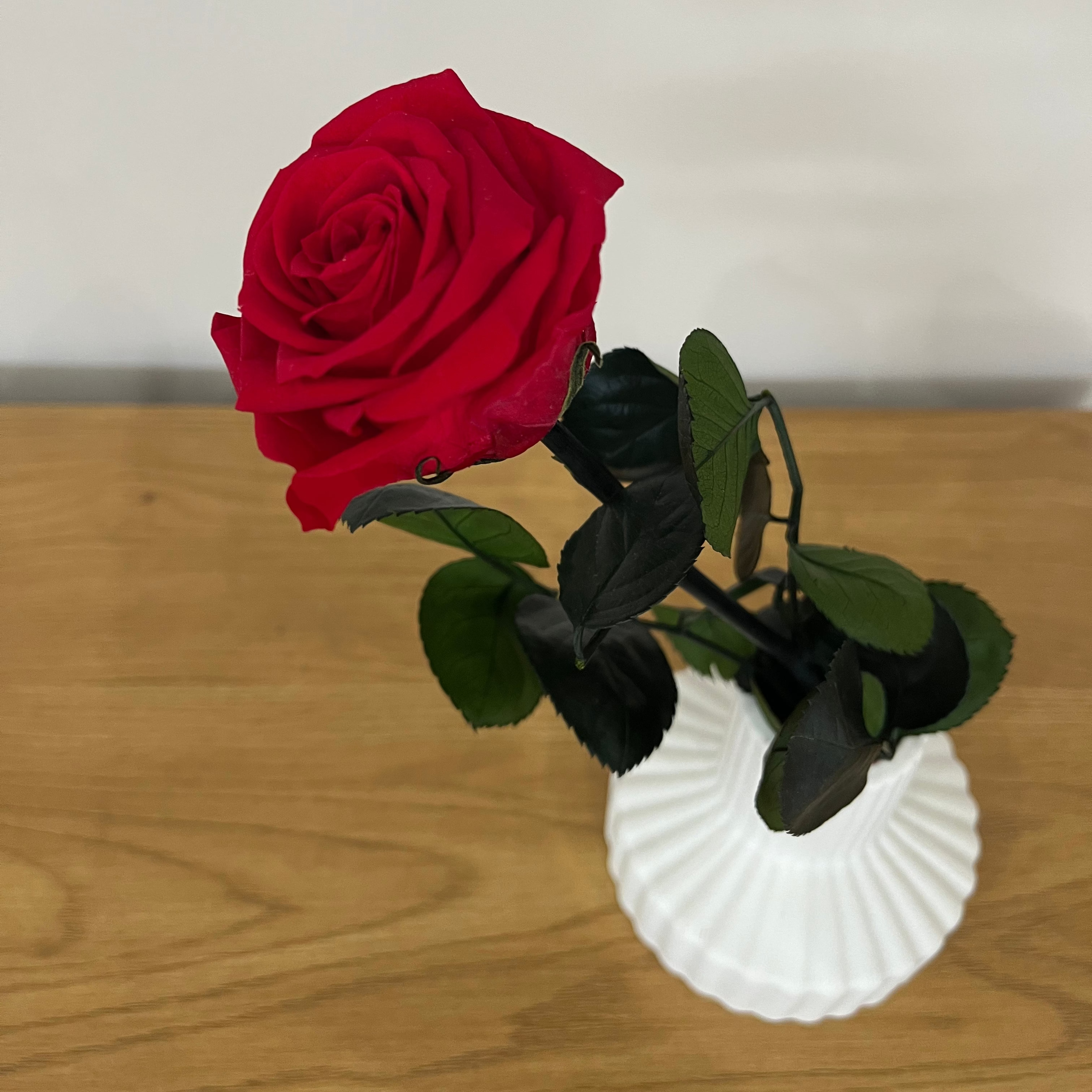 Konservierte/gefriergetrocknete, Rosen: Zeitlose Eleganz für die Ewigkeit