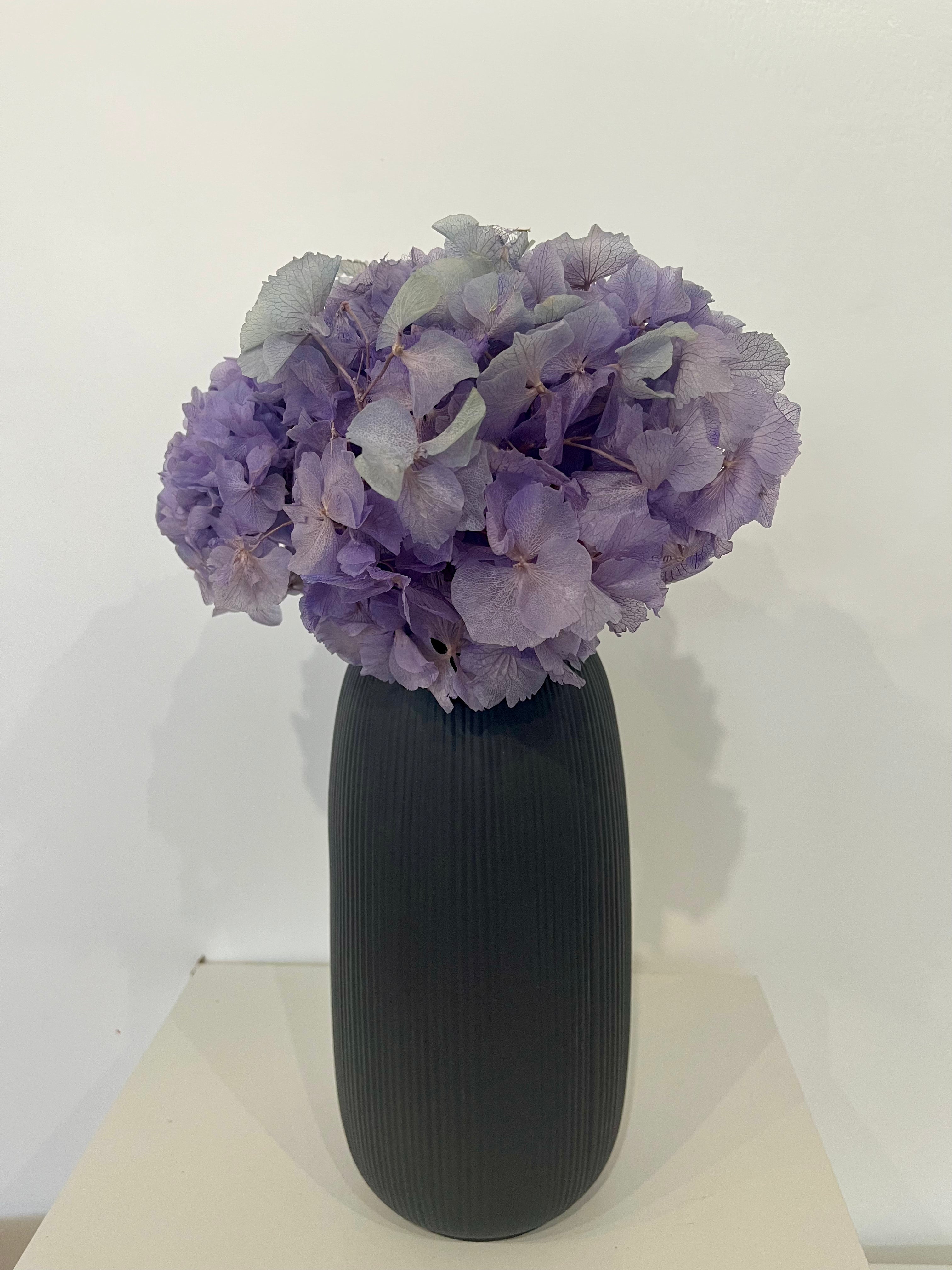 Hortensie - Outlet - Lykke&You GmbH