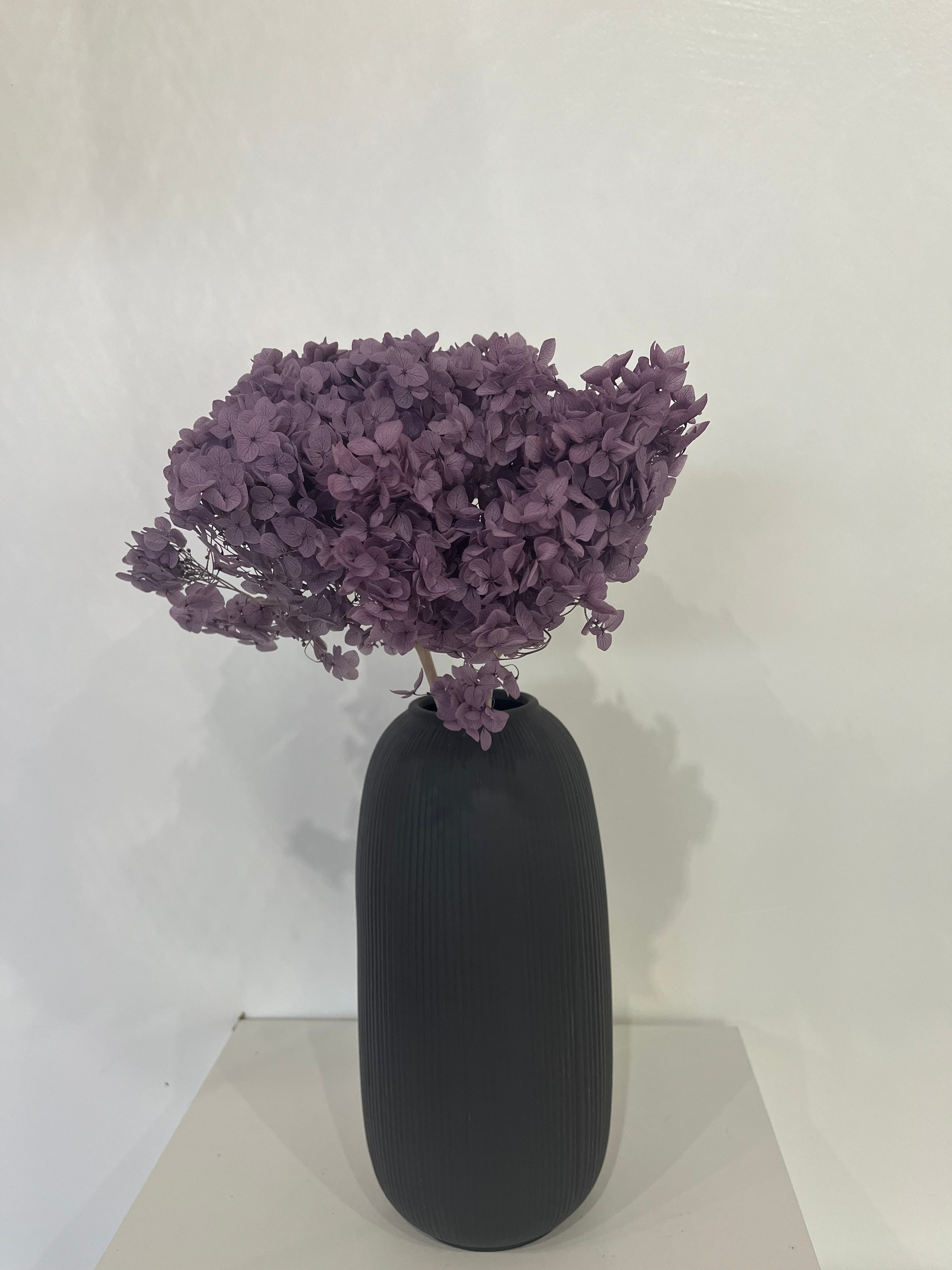 Hydrangea: Timeless beauty, preserved hydrangeas as perfect decoration