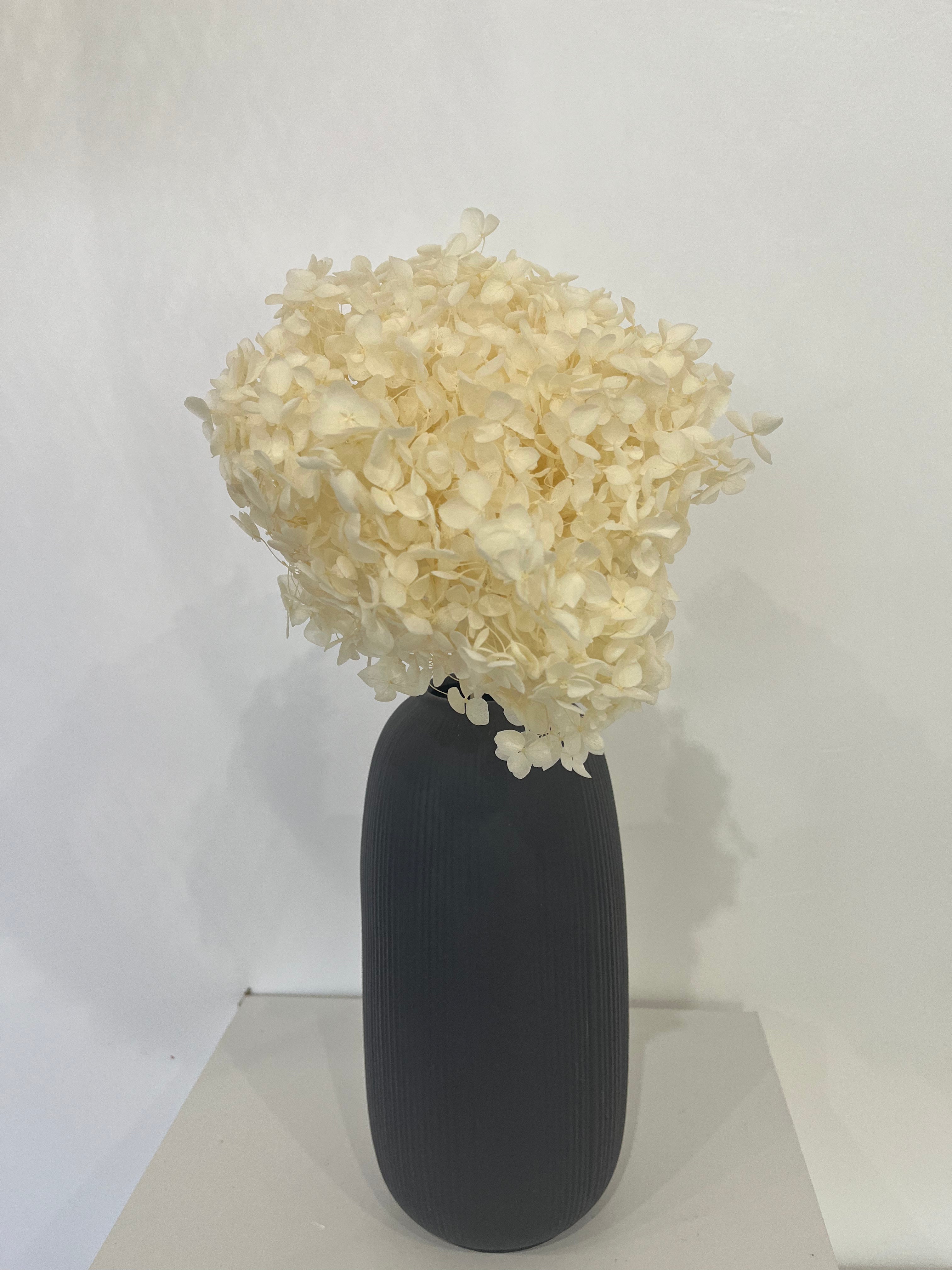 Hydrangea: Timeless beauty, preserved hydrangeas as perfect decoration