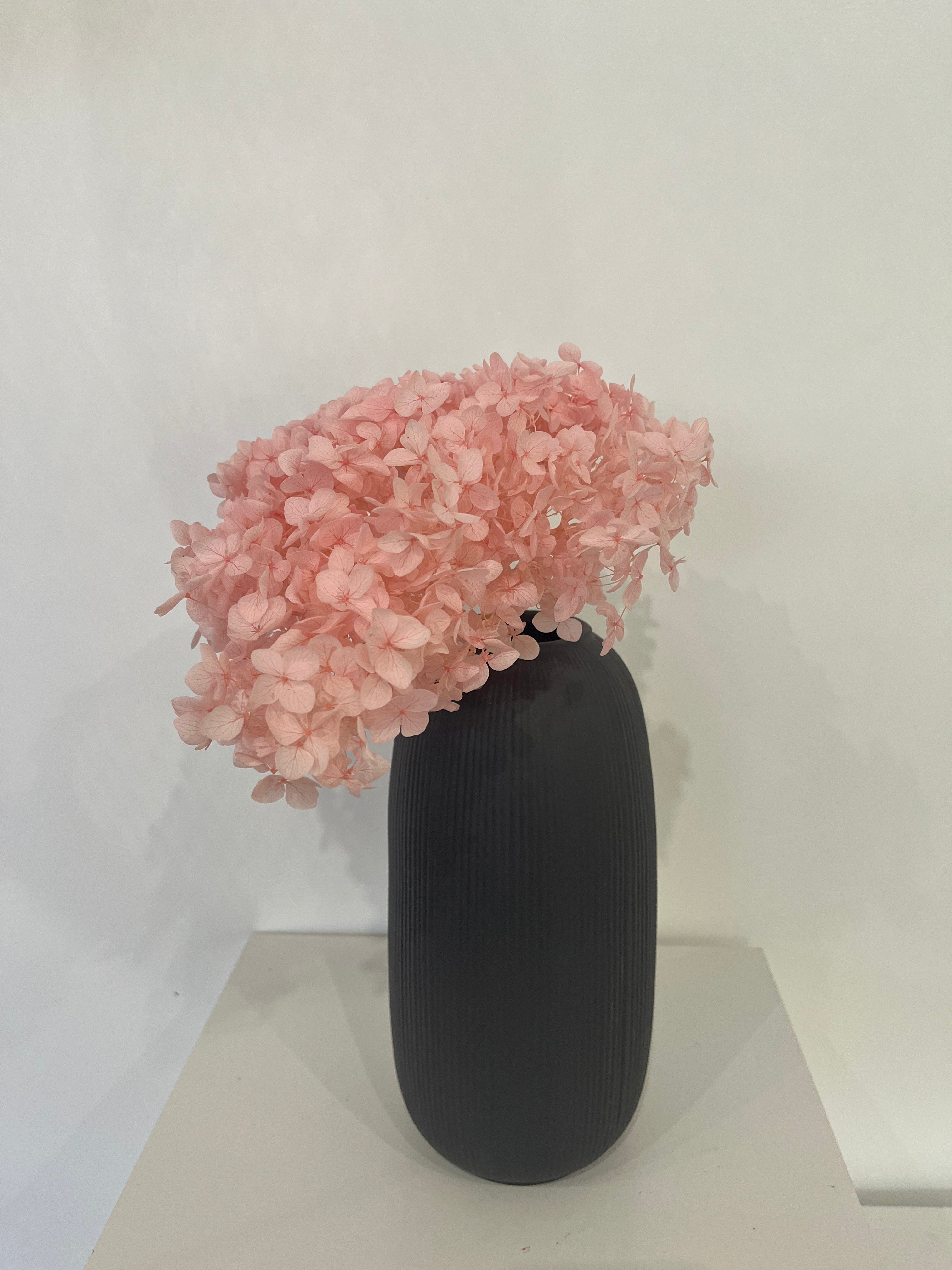 Hydrangea: Timeless beauty, preserved hydrangeas as perfect decoration