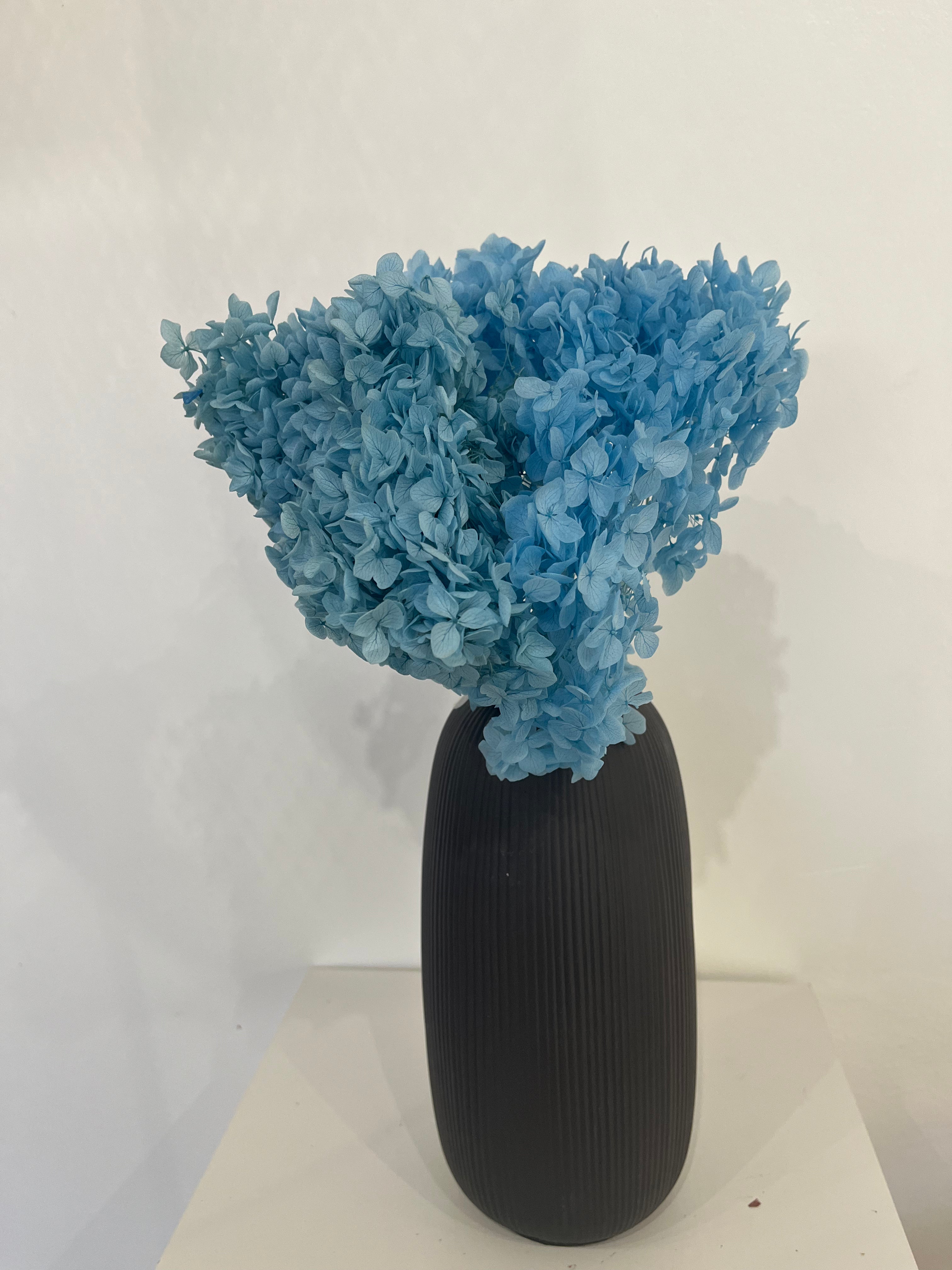 Hydrangea: Timeless beauty, preserved hydrangeas as perfect decoration