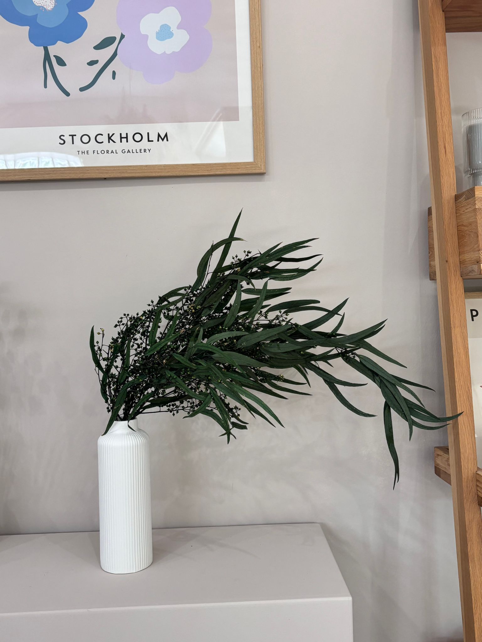 Eukalyptus Nicoly - der Kräftige -Outlet - Lykke&You GmbH