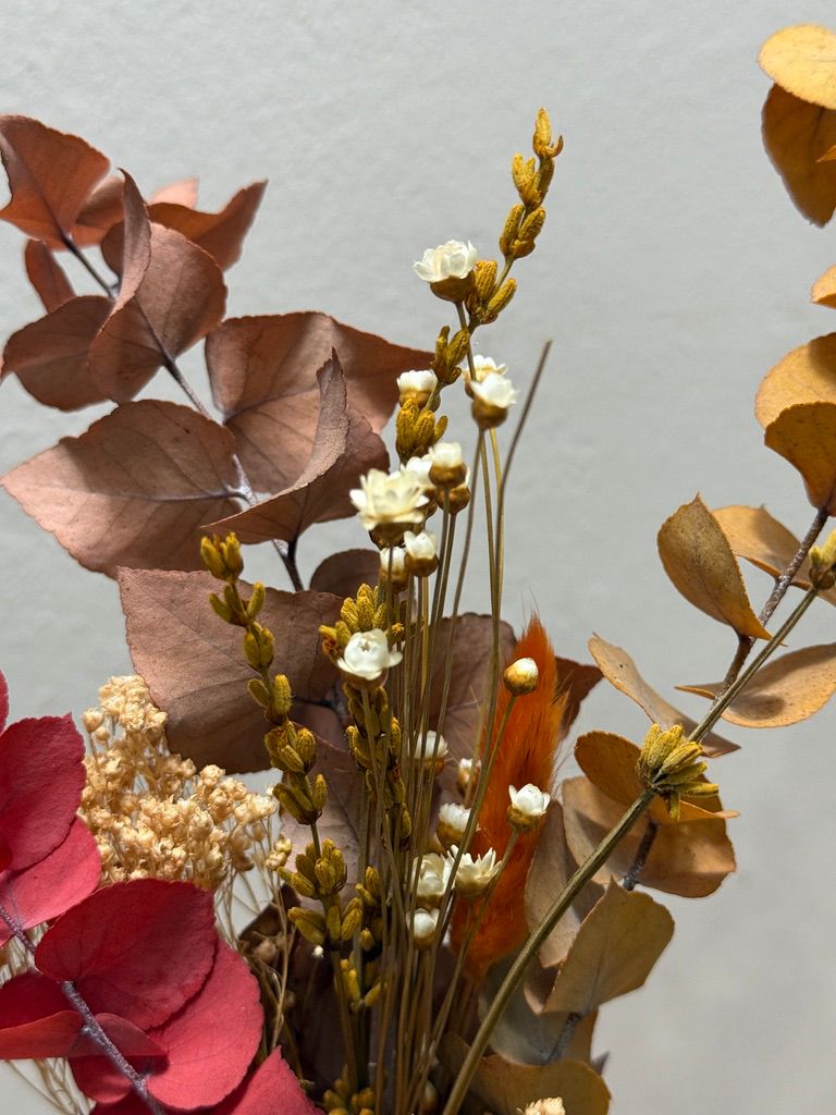 Trockenblumen Mini Strauß Eukalyptus rot - Outlet