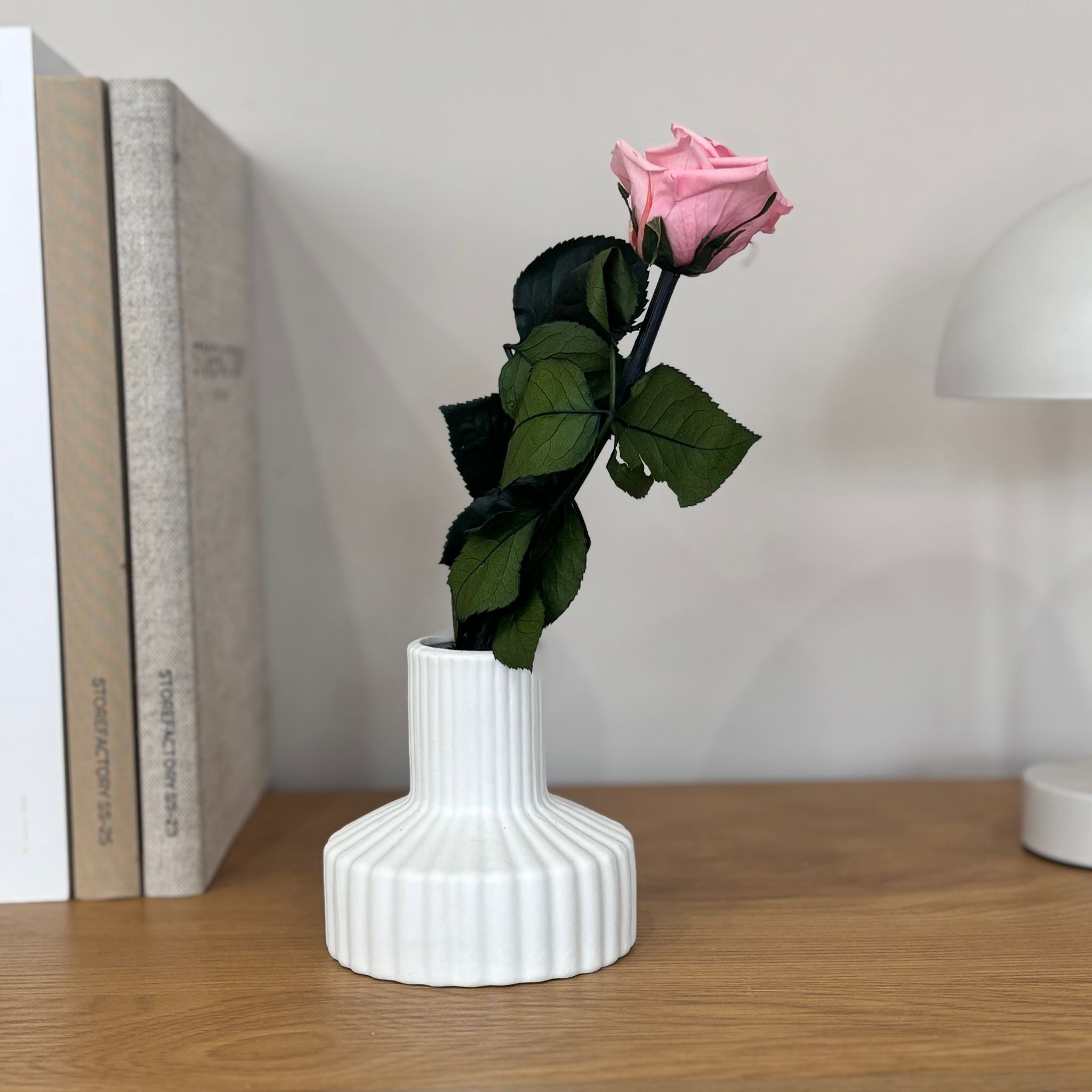 Konservierte/gefriergetrocknete, Rosen: Zeitlose Eleganz für die Ewigkeit