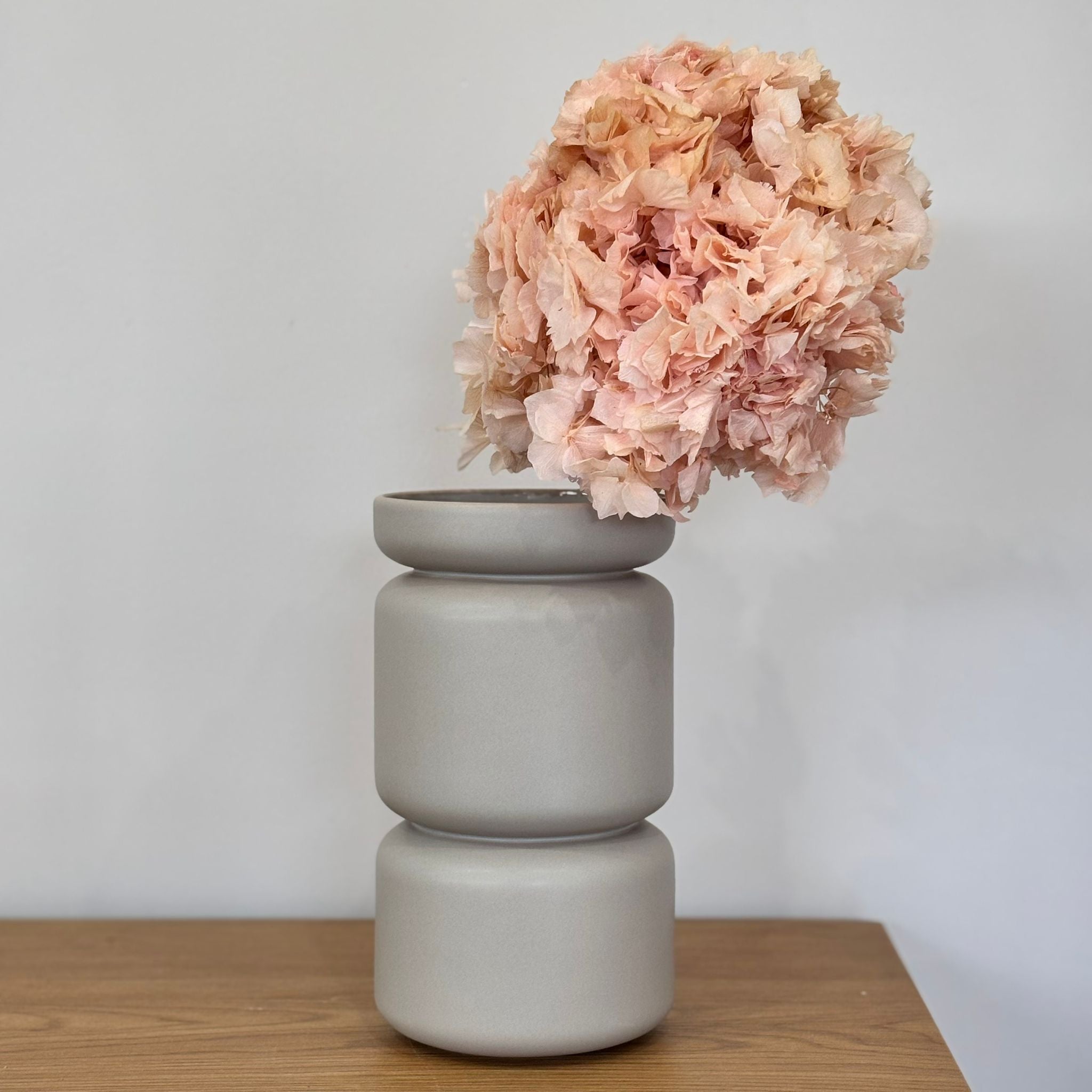 Hortensie: Zeitlose Schönheit rosa - Outlet