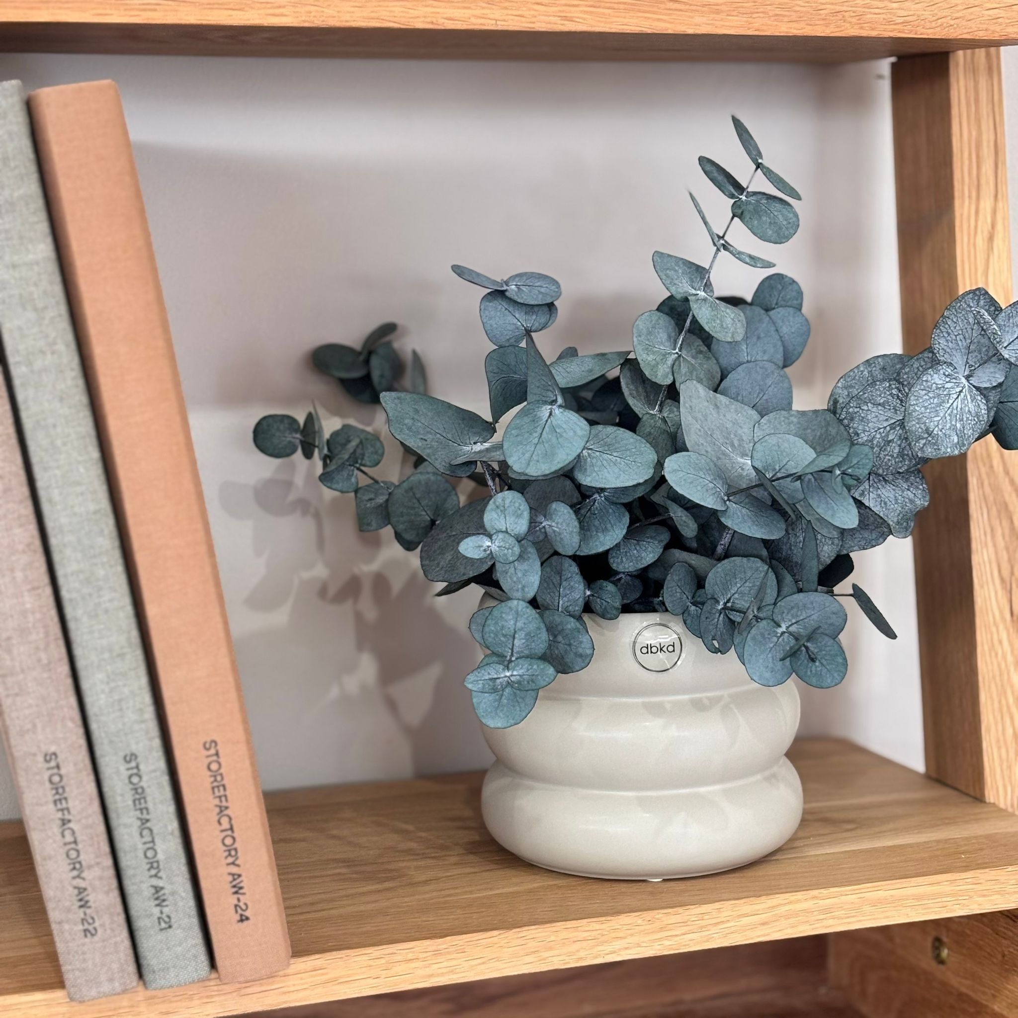 Forever Green – Trockenblumendeko im Blumentopf