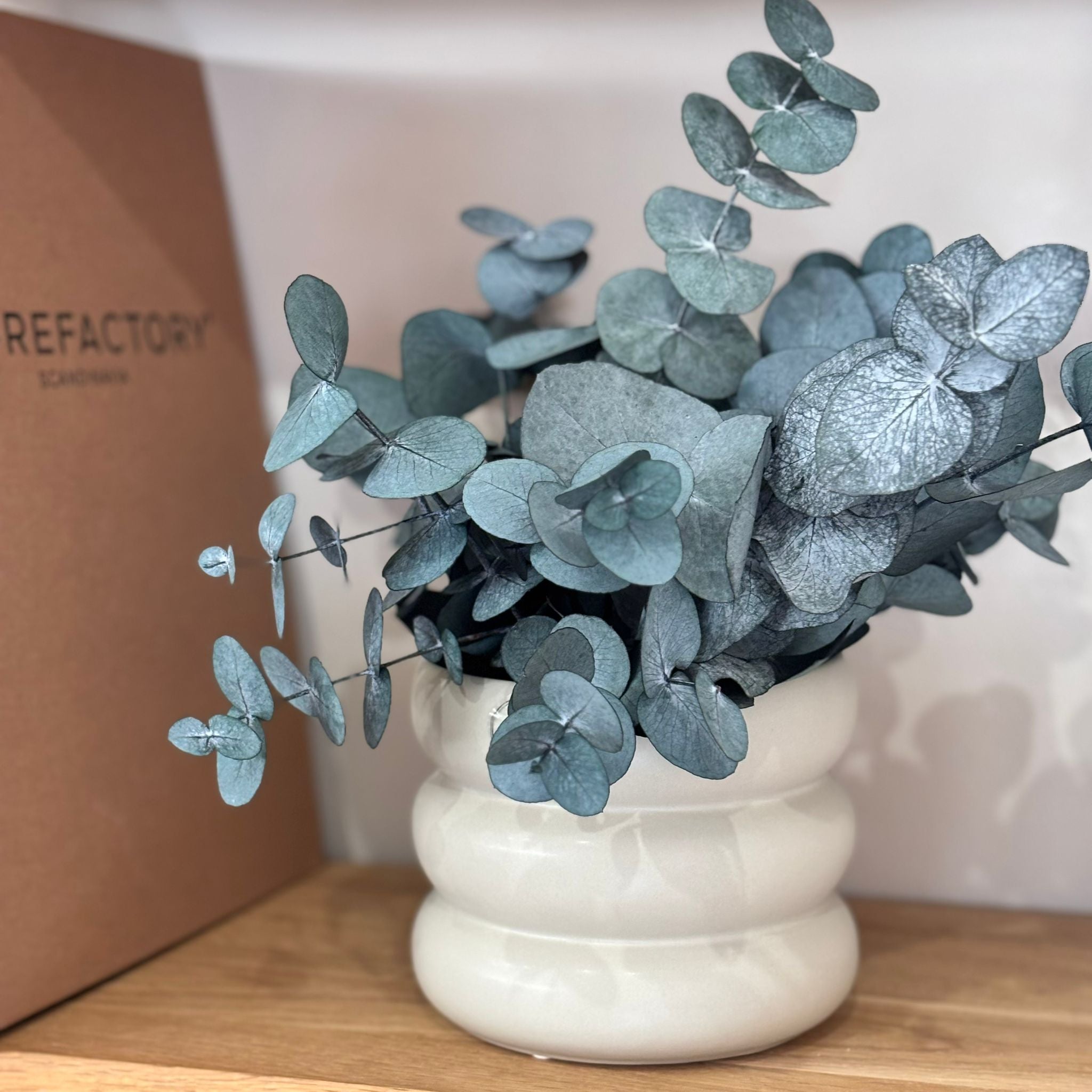 Forever Green – Trockenblumendeko im Blumentopf