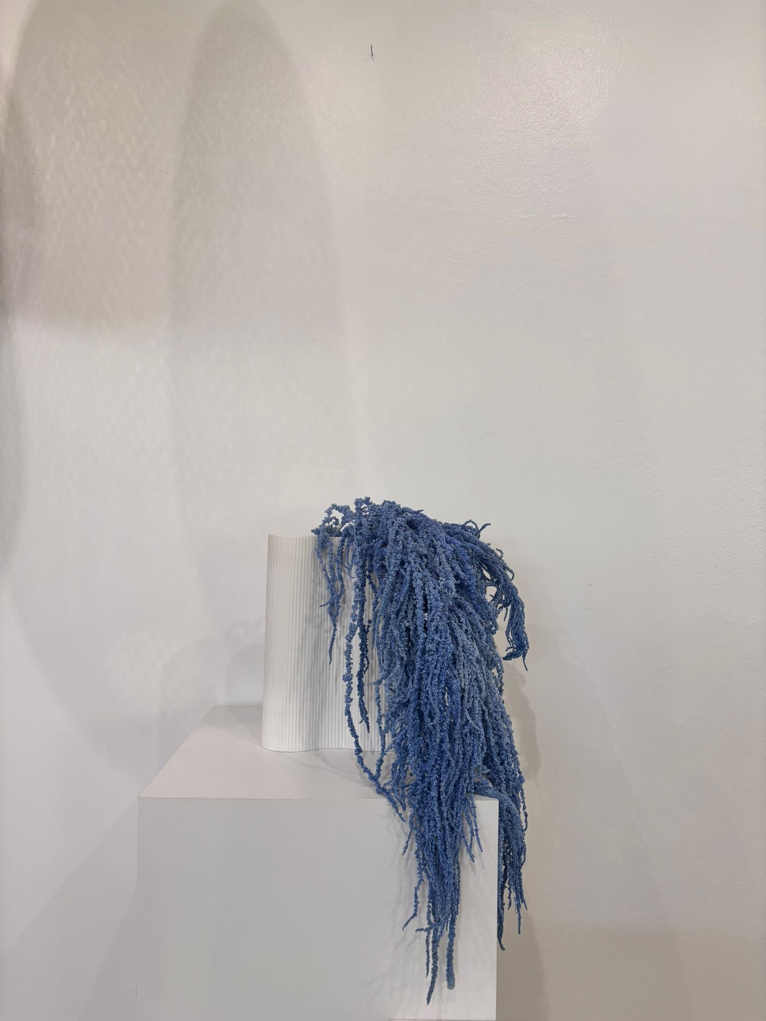 amaranth
