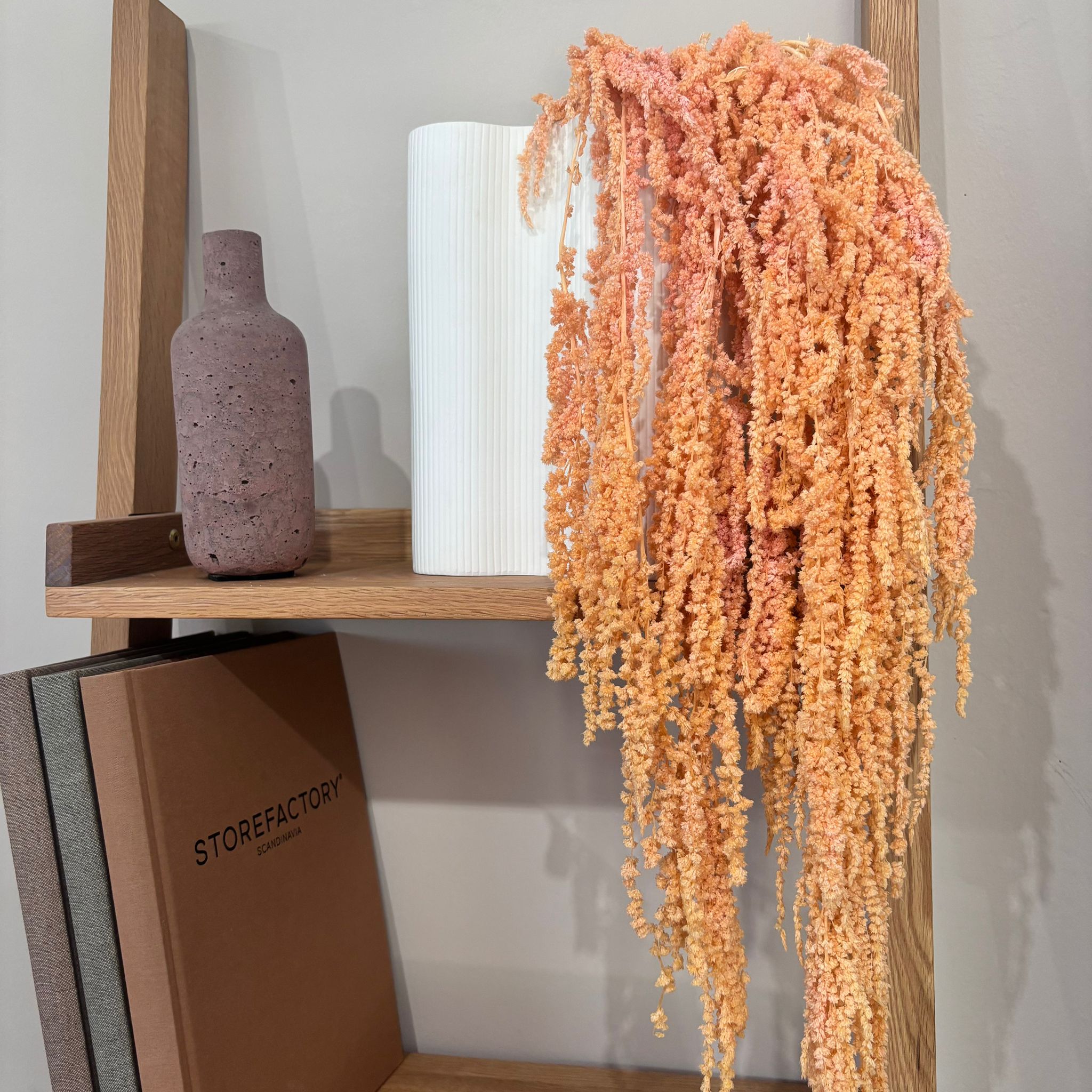 amaranth