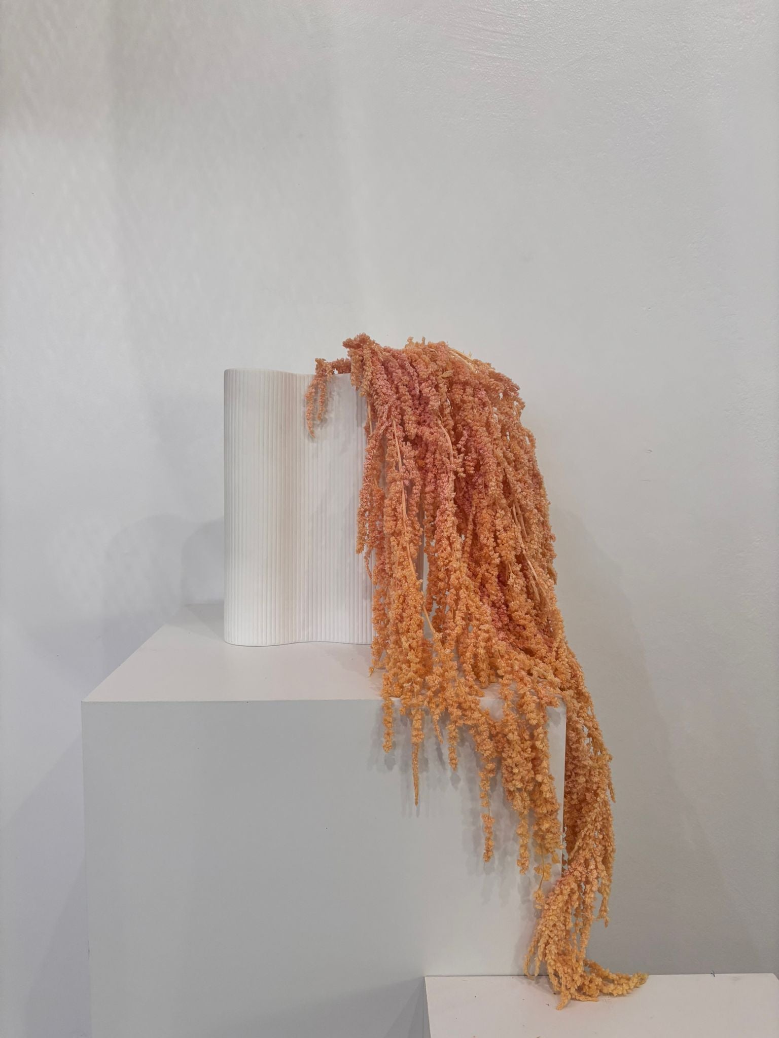 amaranth