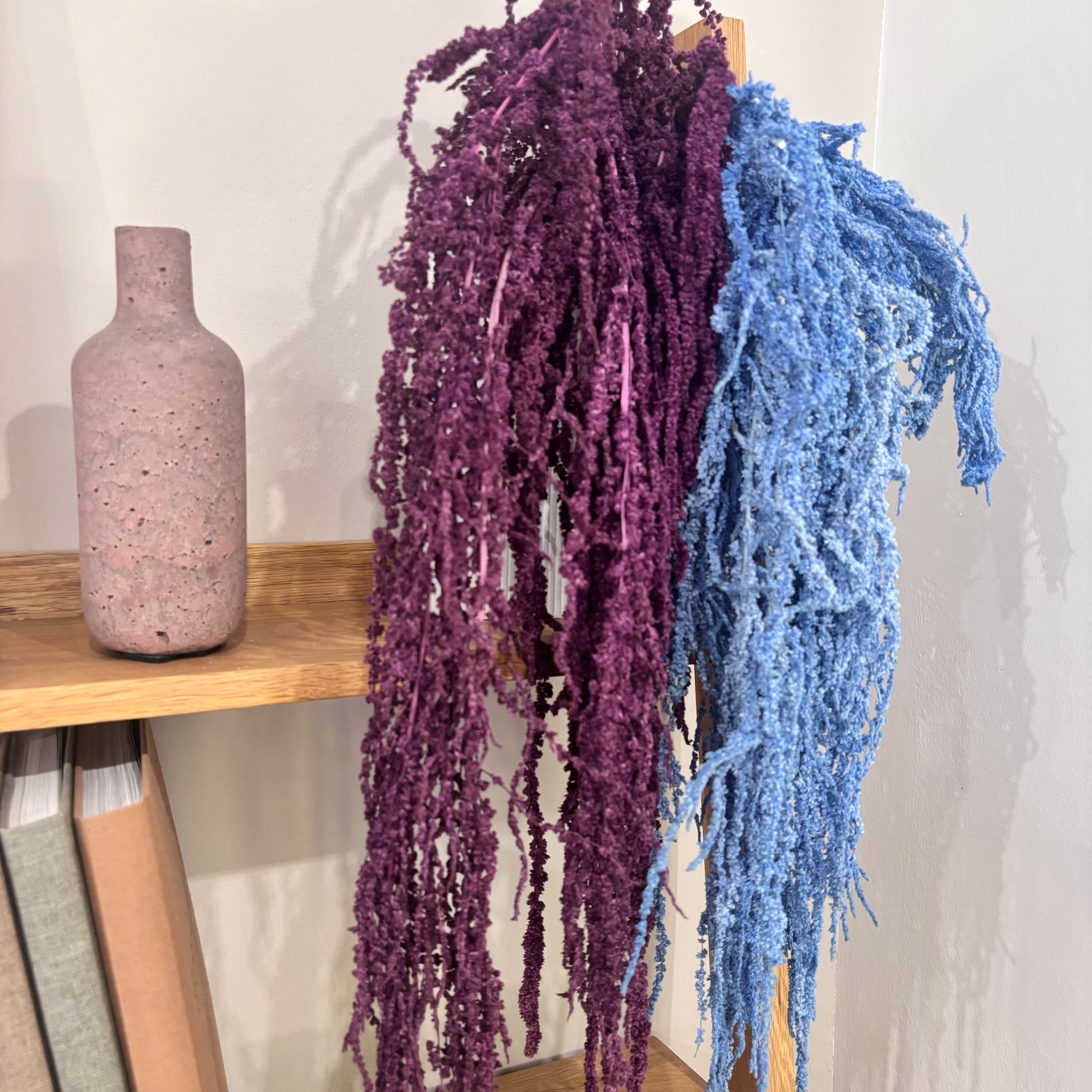 amaranth