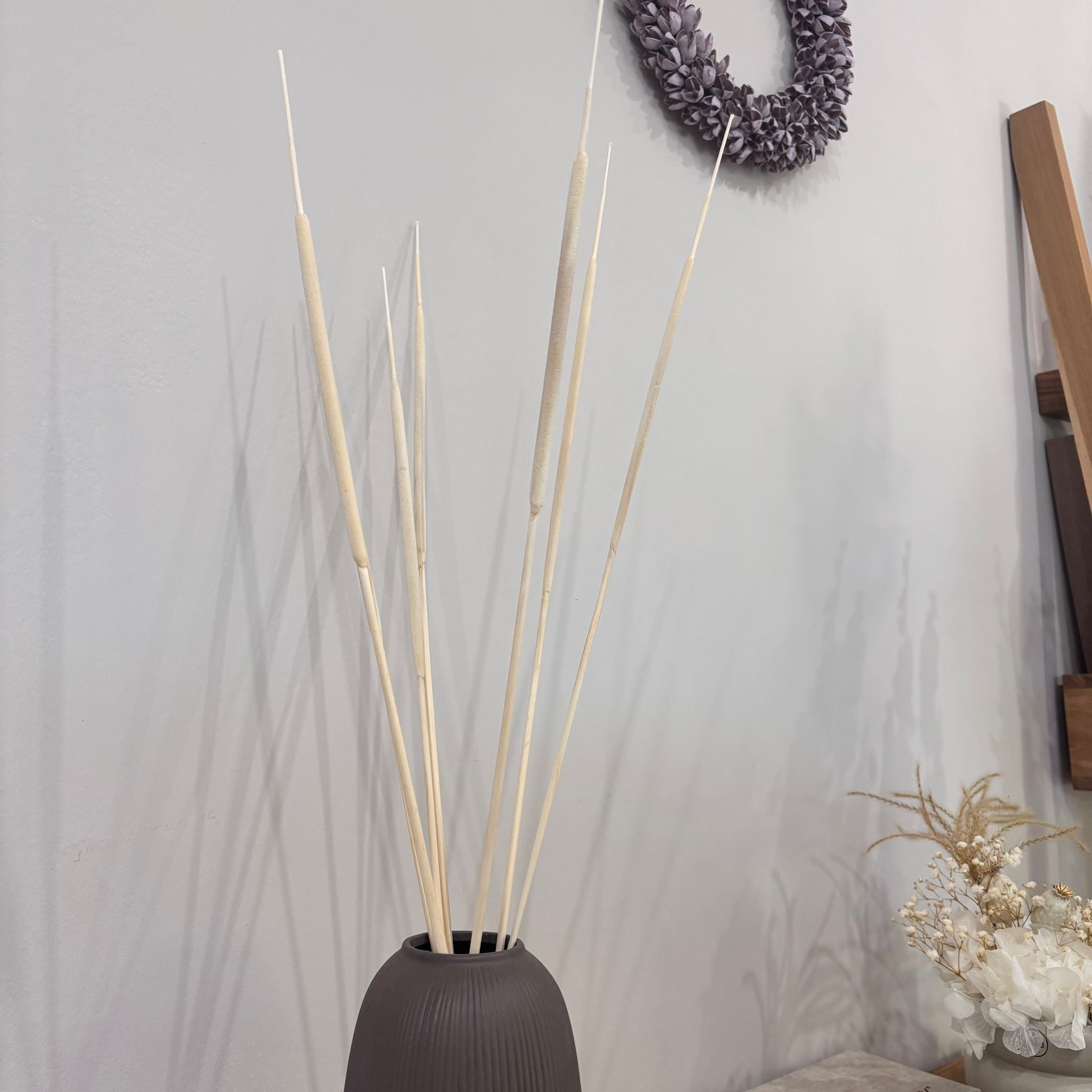 Creative flair: dried reed cobs for craft projects and decorations