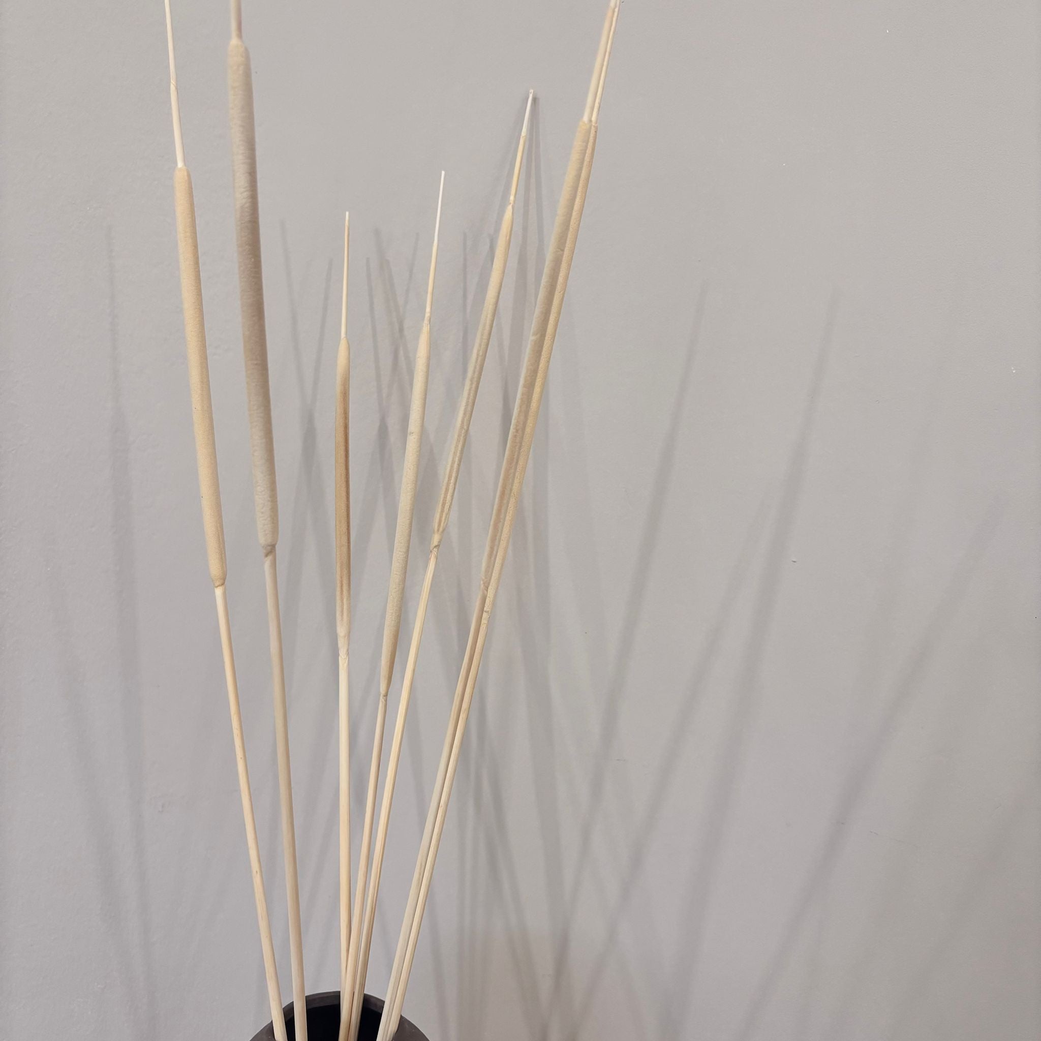 Creative flair: dried reed cobs for craft projects and decorations