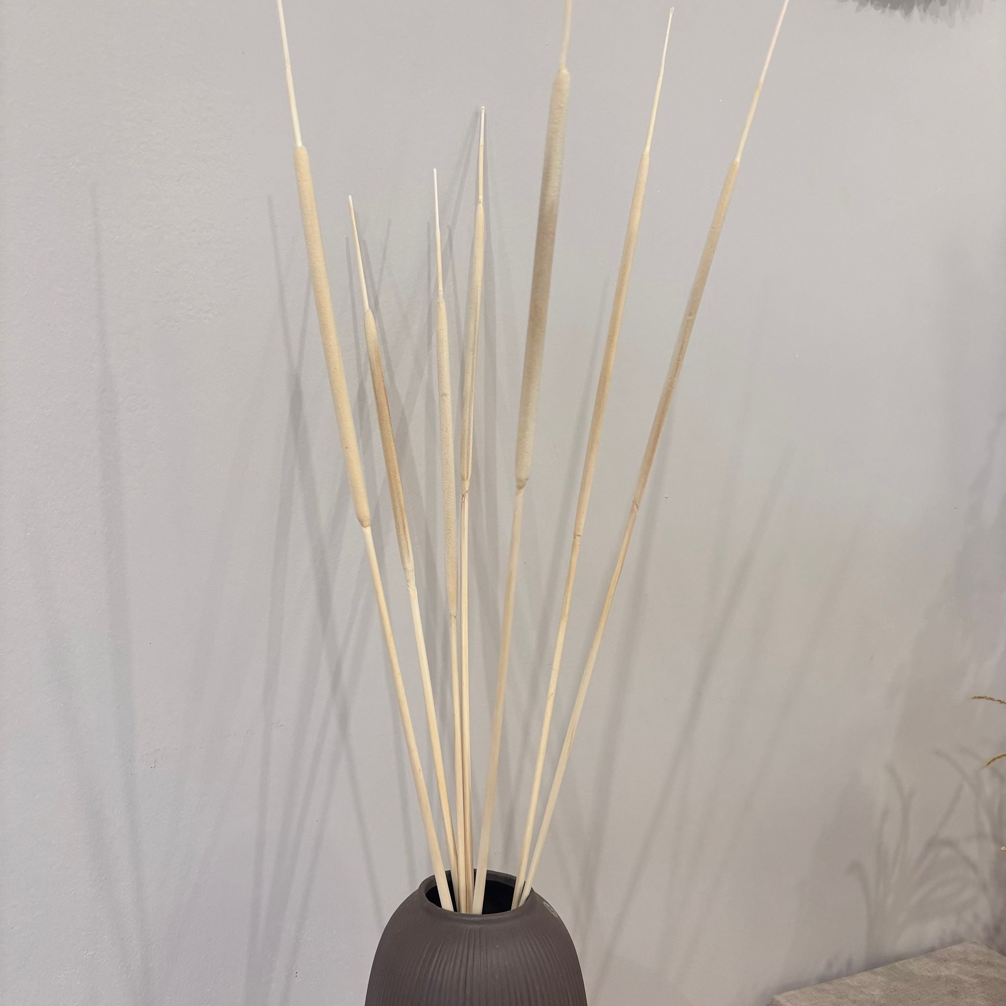 Creative flair: dried reed cobs for craft projects and decorations