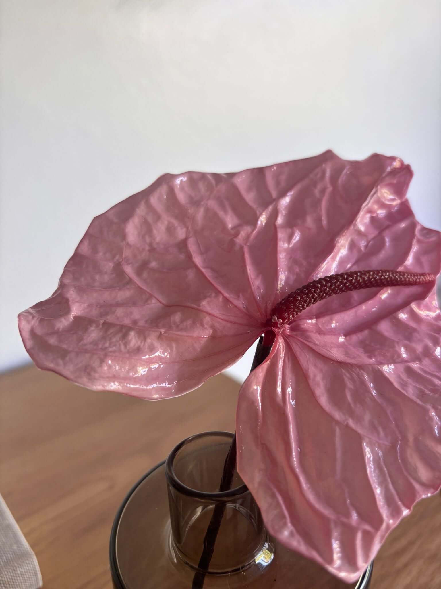 Konservierte pinke Anthurie in einer Vase, zeigt lebendige Farbe und elegante Form, ideal für dekorative Akzente.