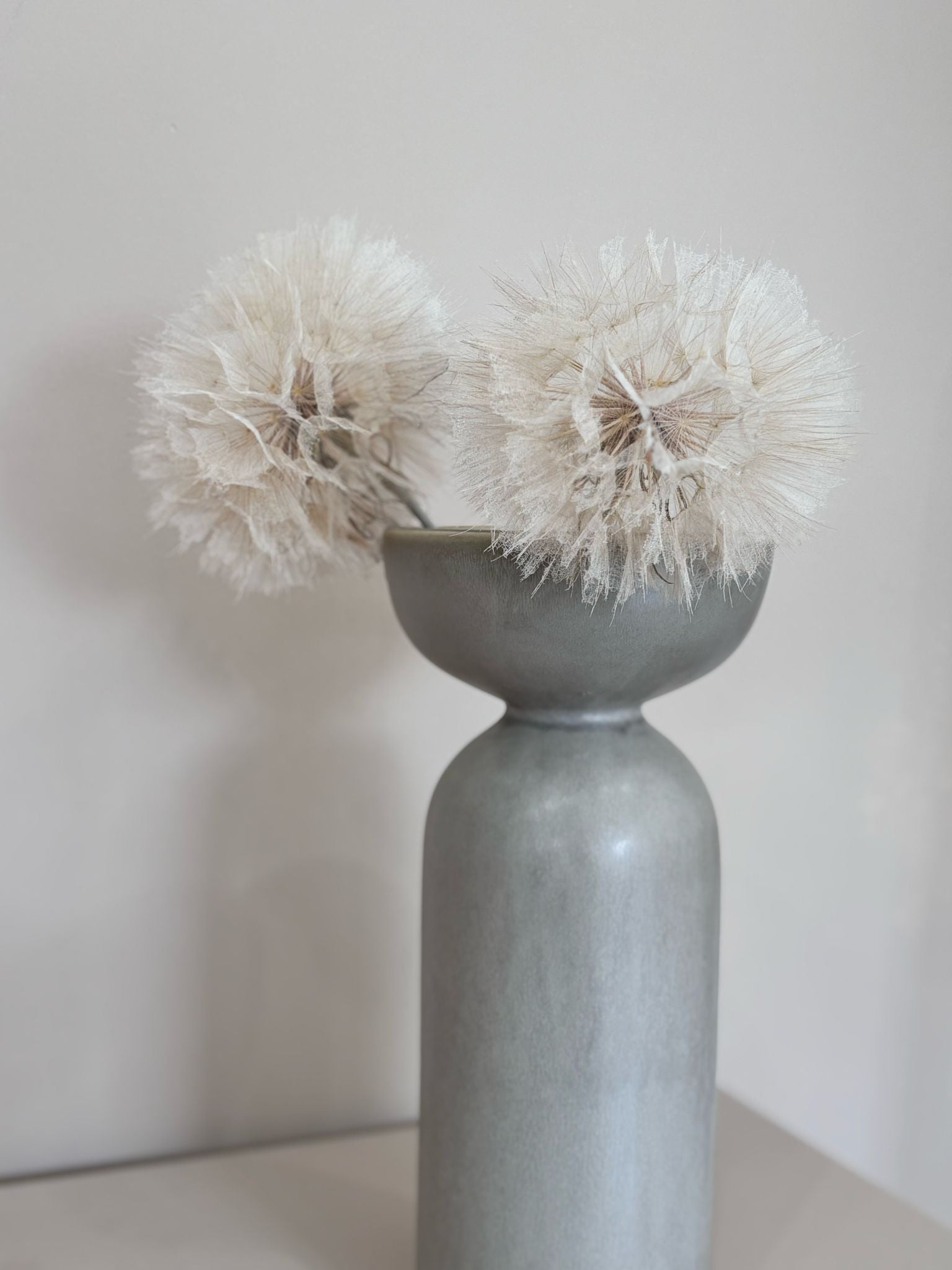 Pusteblume getrocknet und konserviert | XXL | weiß | 30-40 cm - Farbe: weiß