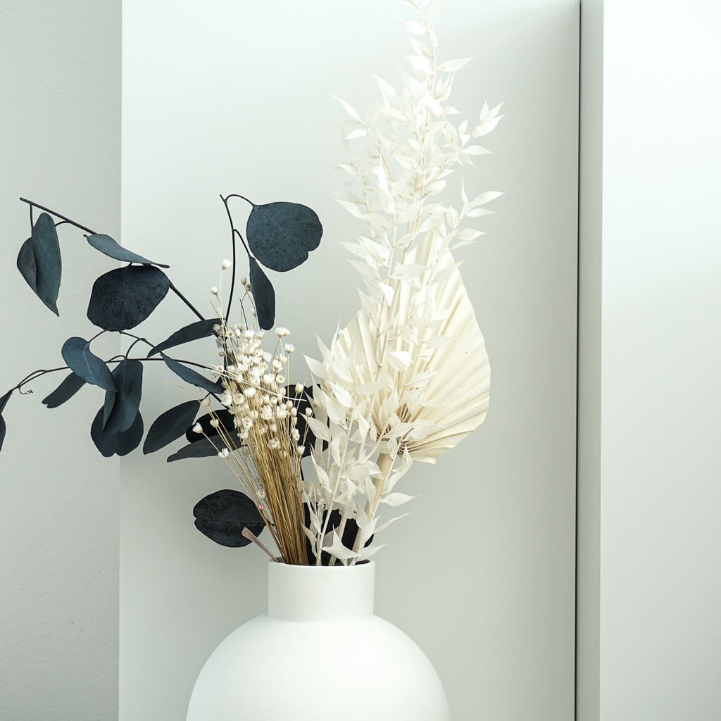Eukalyptus Popolus | 60-75 cm | elegant & modern - Farbe: blau