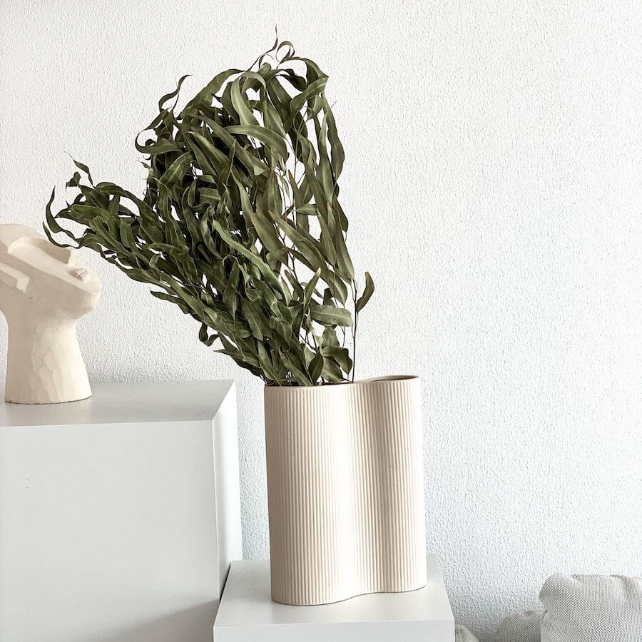 Eukalyptus getrocknet | 60-75 cm | Bund oder Stiele | Grün - Größe: Bund - Farbe: grün