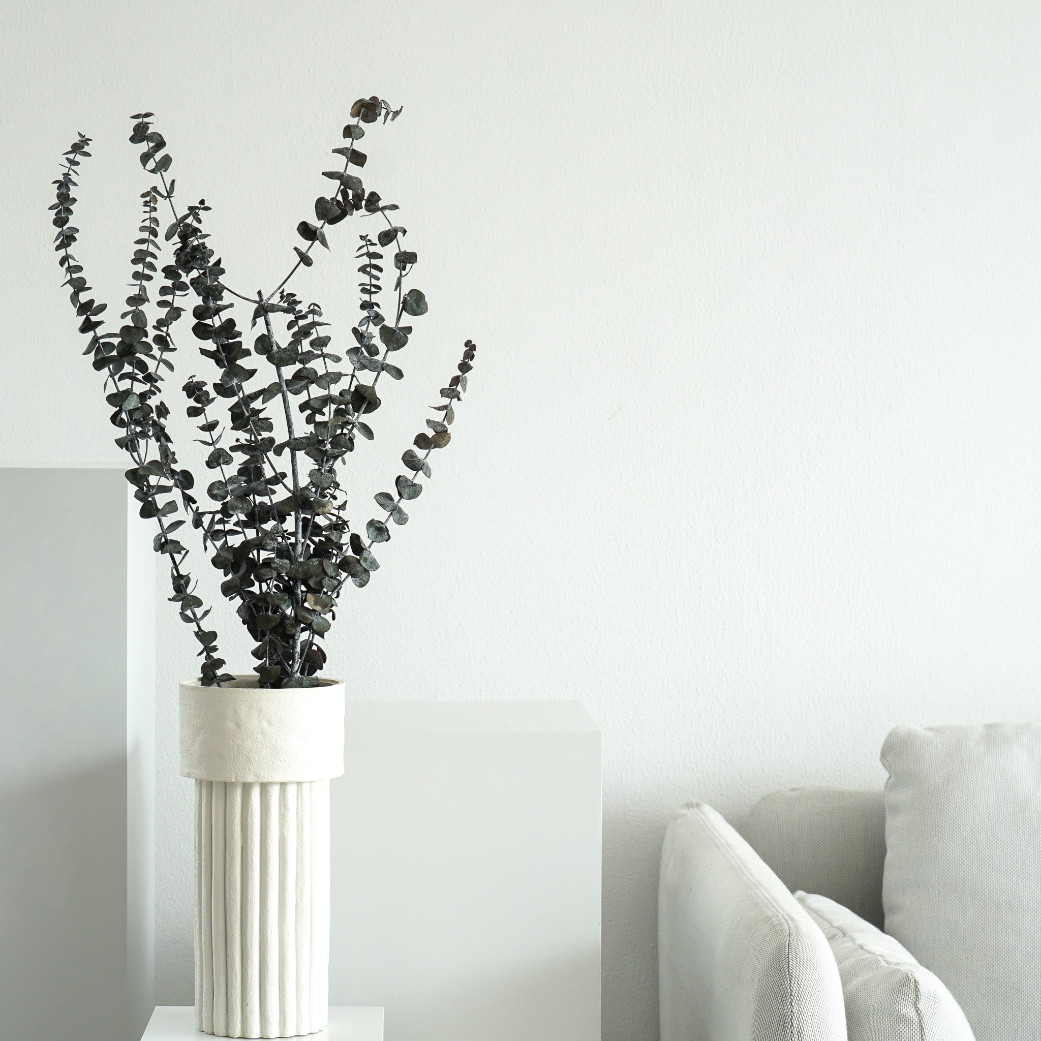 Eukalyptus Baby konserviert I 70 cm I grün - Größe: Klein - Farbe: gruen