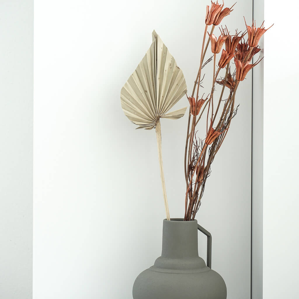 Getrocknete Palmspeere | 40cm I | Trendprodukt - Farbe: natur 1x