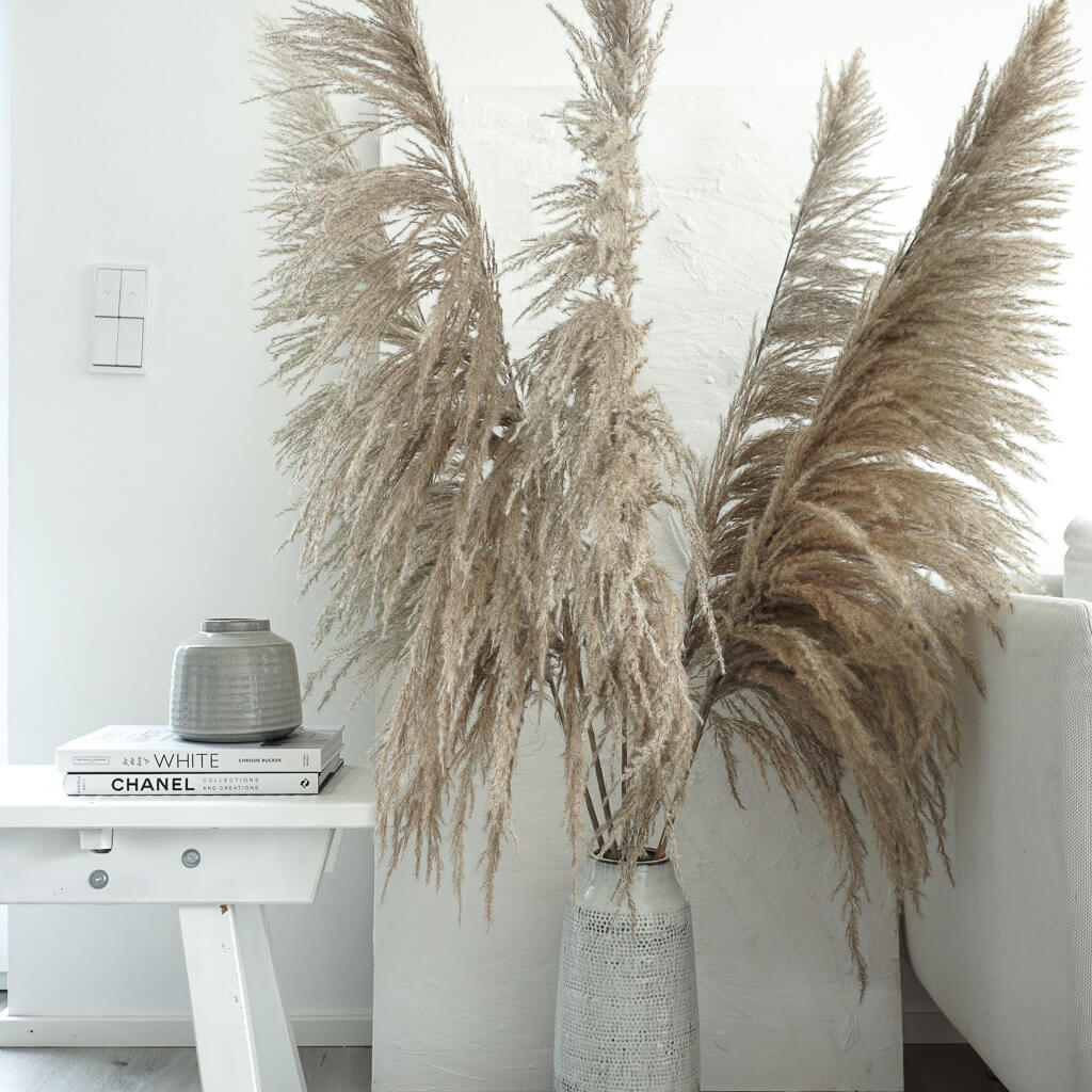 Pampasgras XL im Retrolook | ca 120 cm | | natur (beige) - Farbe: beige