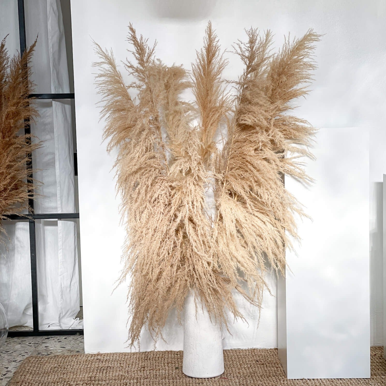 Pampasgras XL im Retrolook | ca 120 cm | | natur (beige) - Farbe: braun