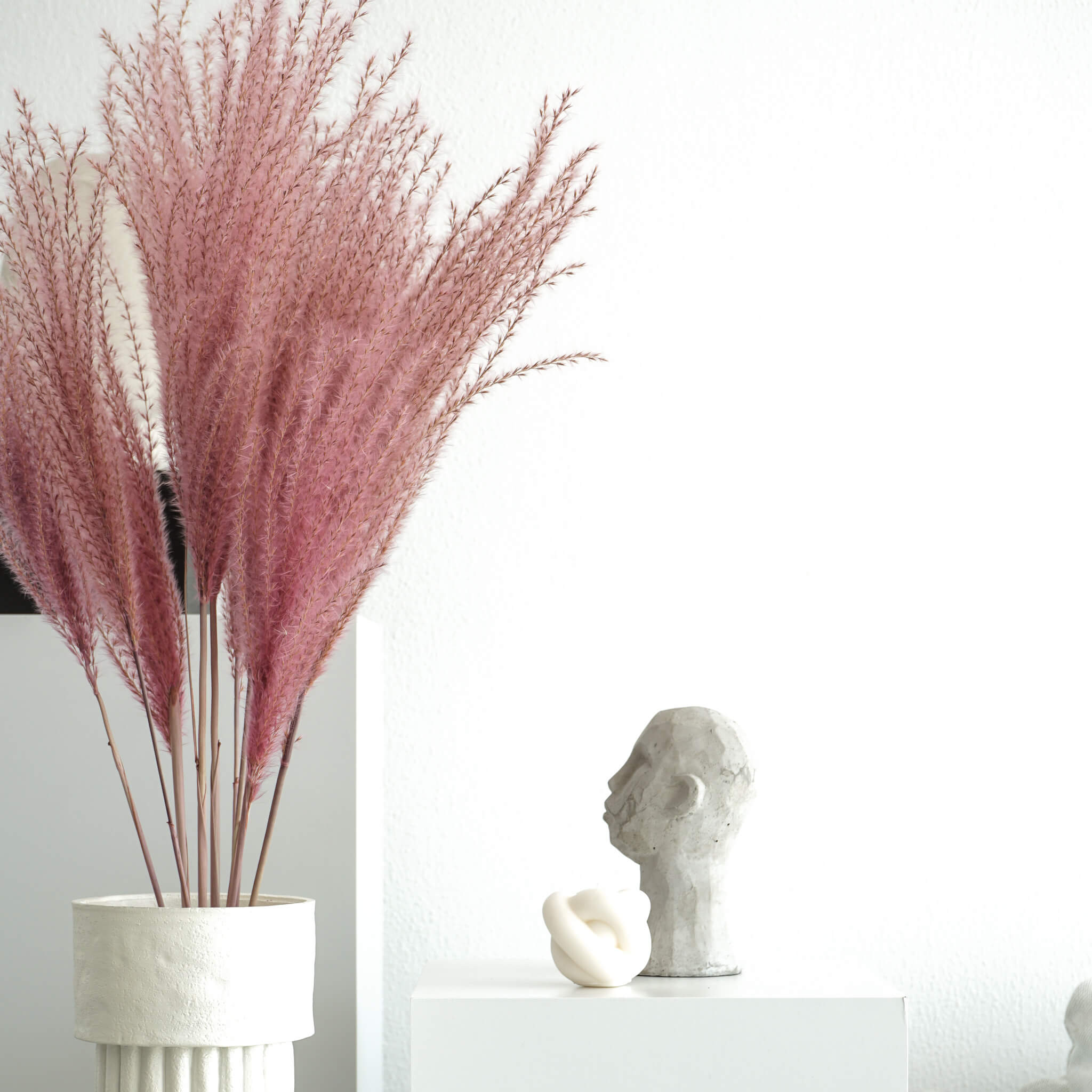 Getrocknetes Federgras | Miscanthus natur I 70 cm I Bund oder Einzeln - Größe: 5 Stiele - Farbe: pink