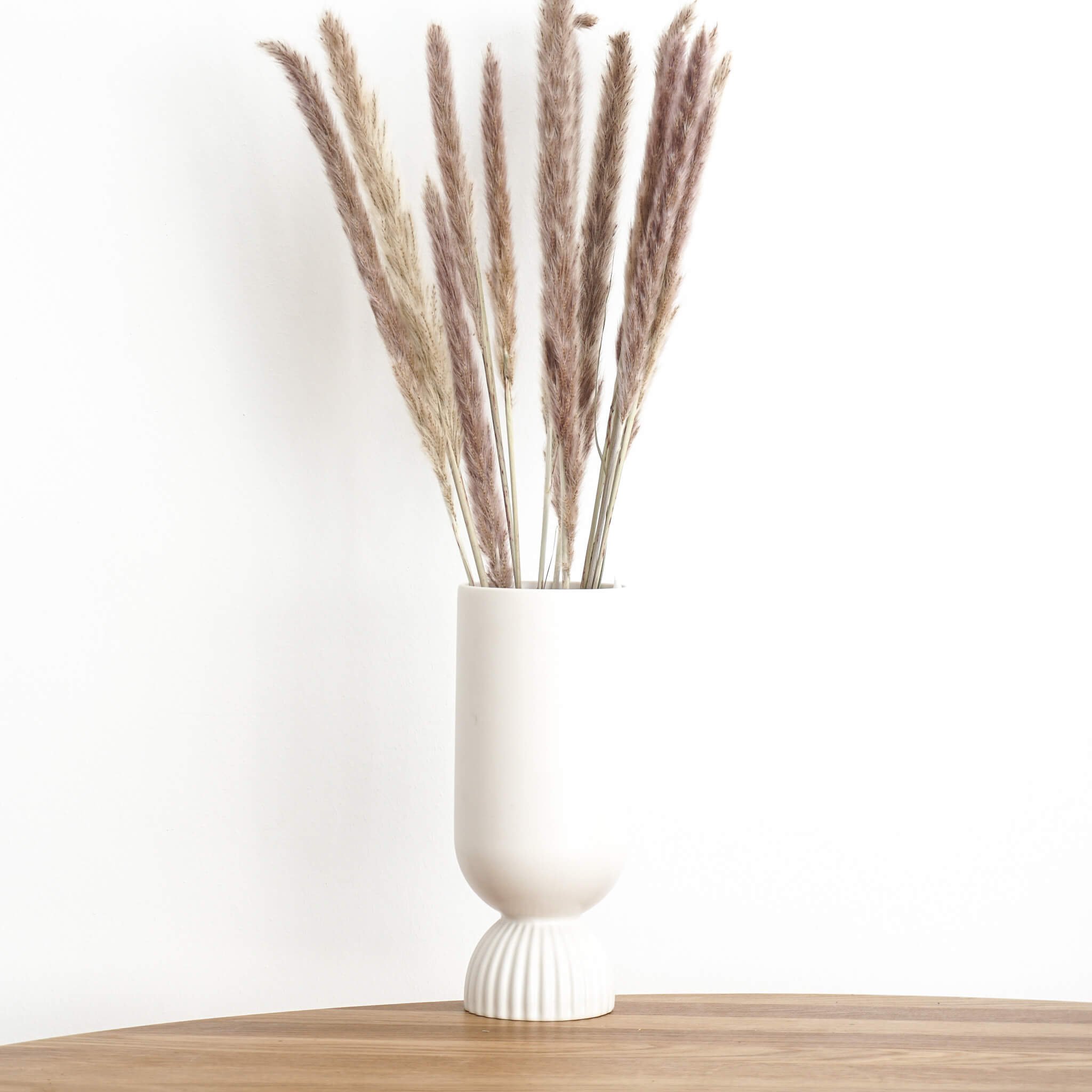 Pampasgras Mini I 70 cm I Gut für Tischvasen | - Farbe: braun