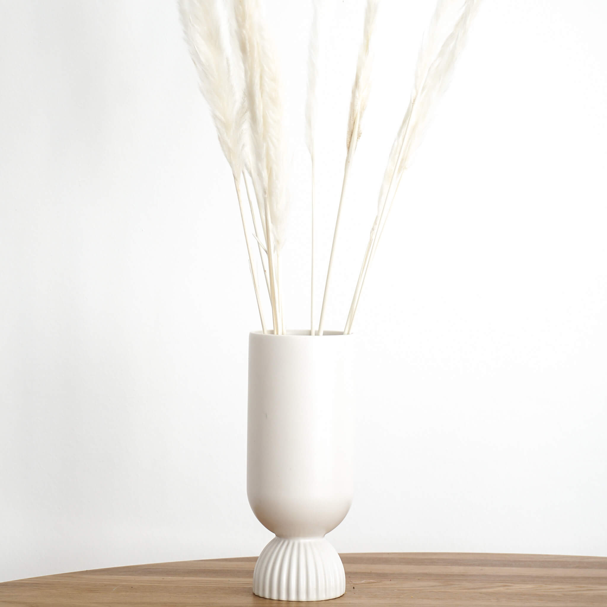 Pampasgras Mini I 70 cm I Gut für Tischvasen | - Farbe: weiß