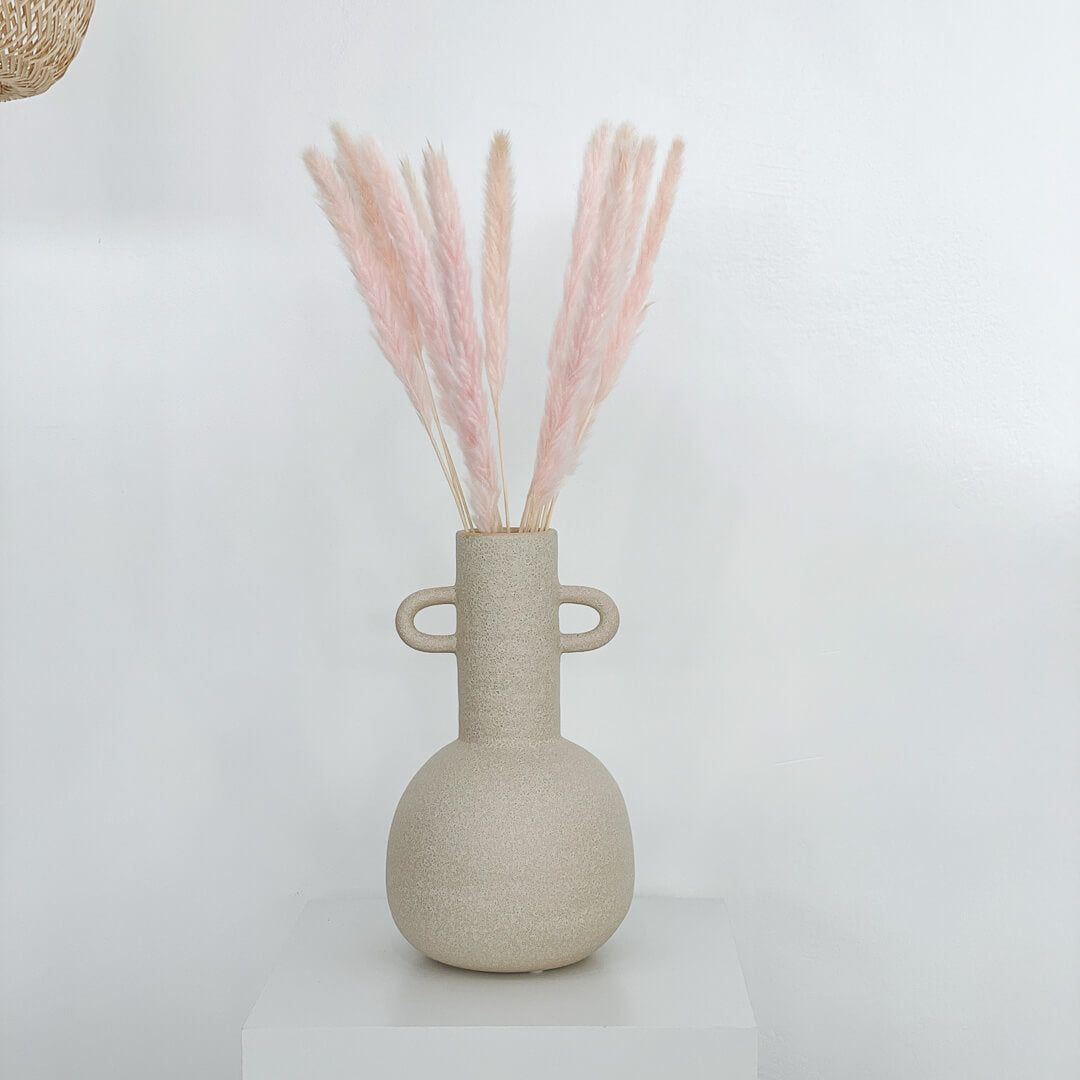 Pampasgras Mini I 70 cm I Gut für Tischvasen | - Farbe: rosa