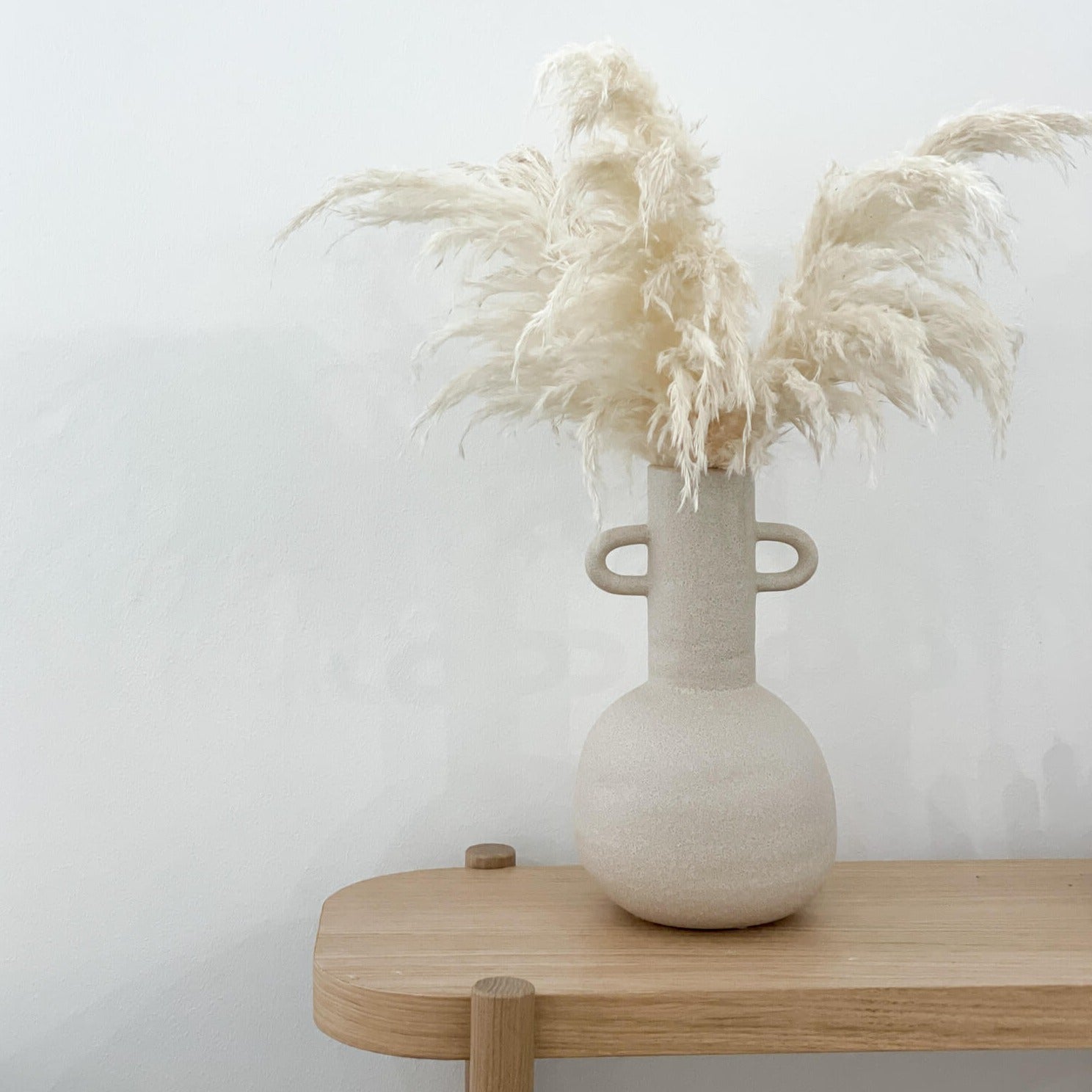 Pampasgras kurz | gebleicht | 70-80 cm - Farbe: weiß