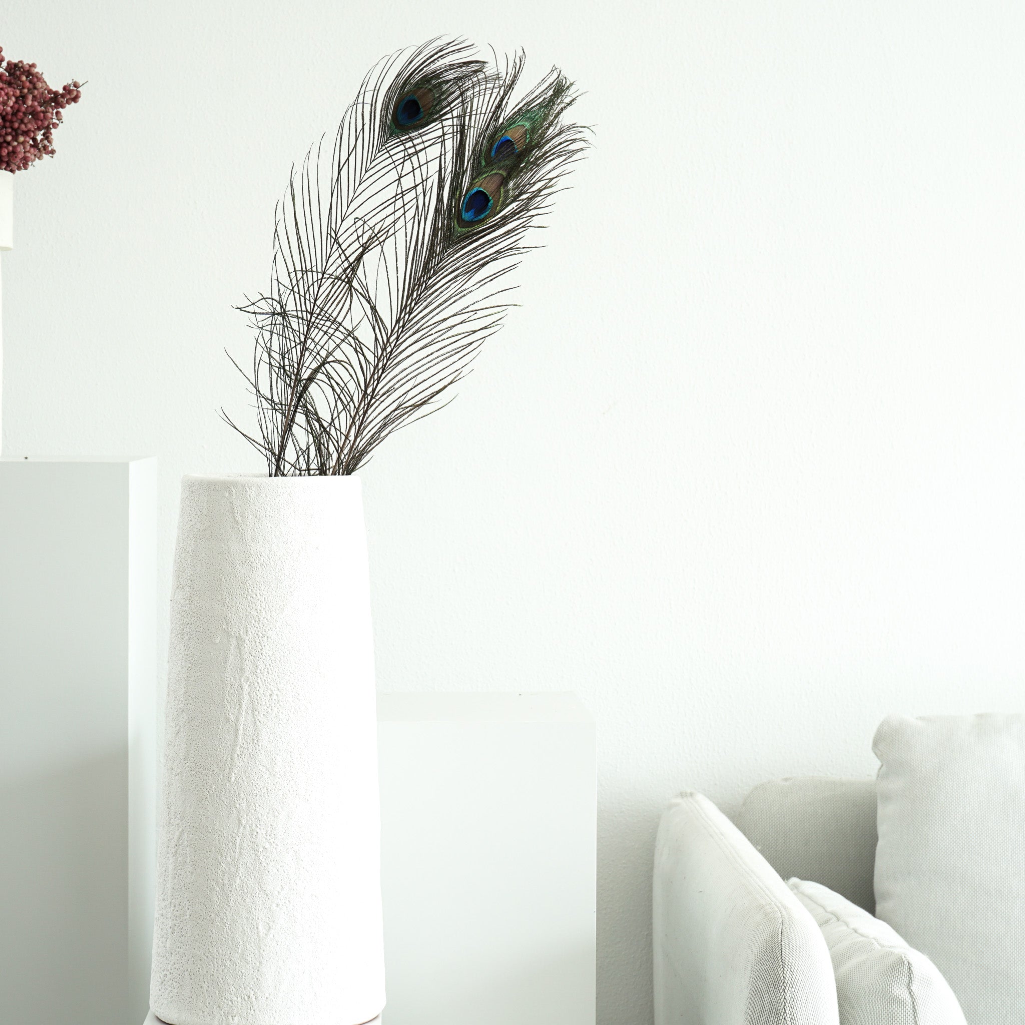 Pfauenfeder I natur I 70 cm I im 3 Bund - größe: groß