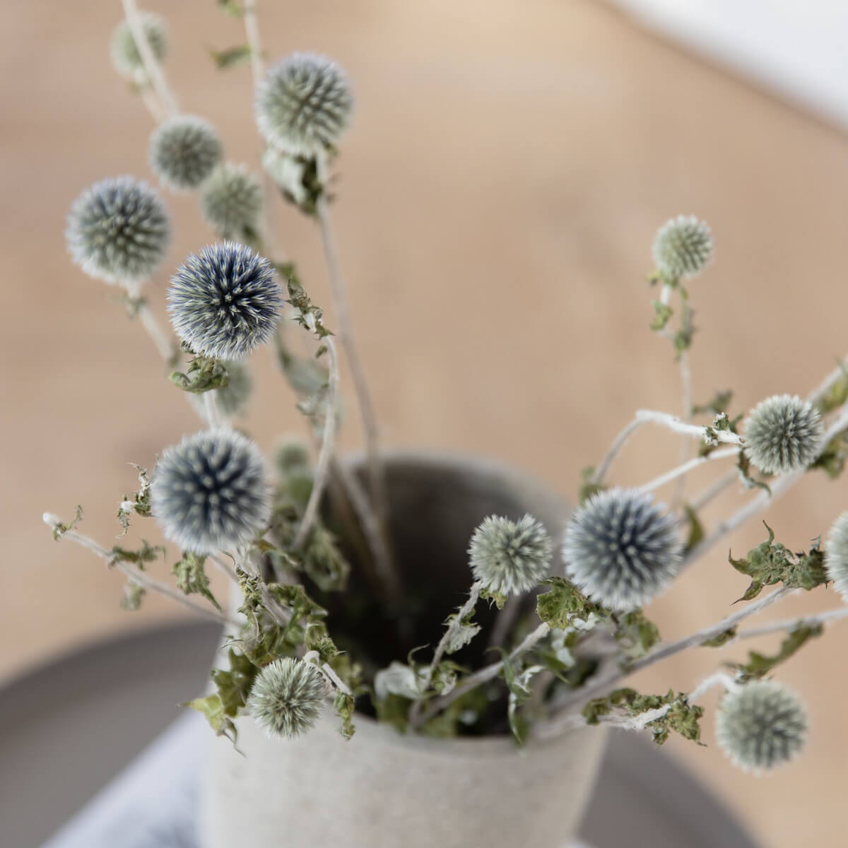 Kugeldistel - Lykke&You GmbH