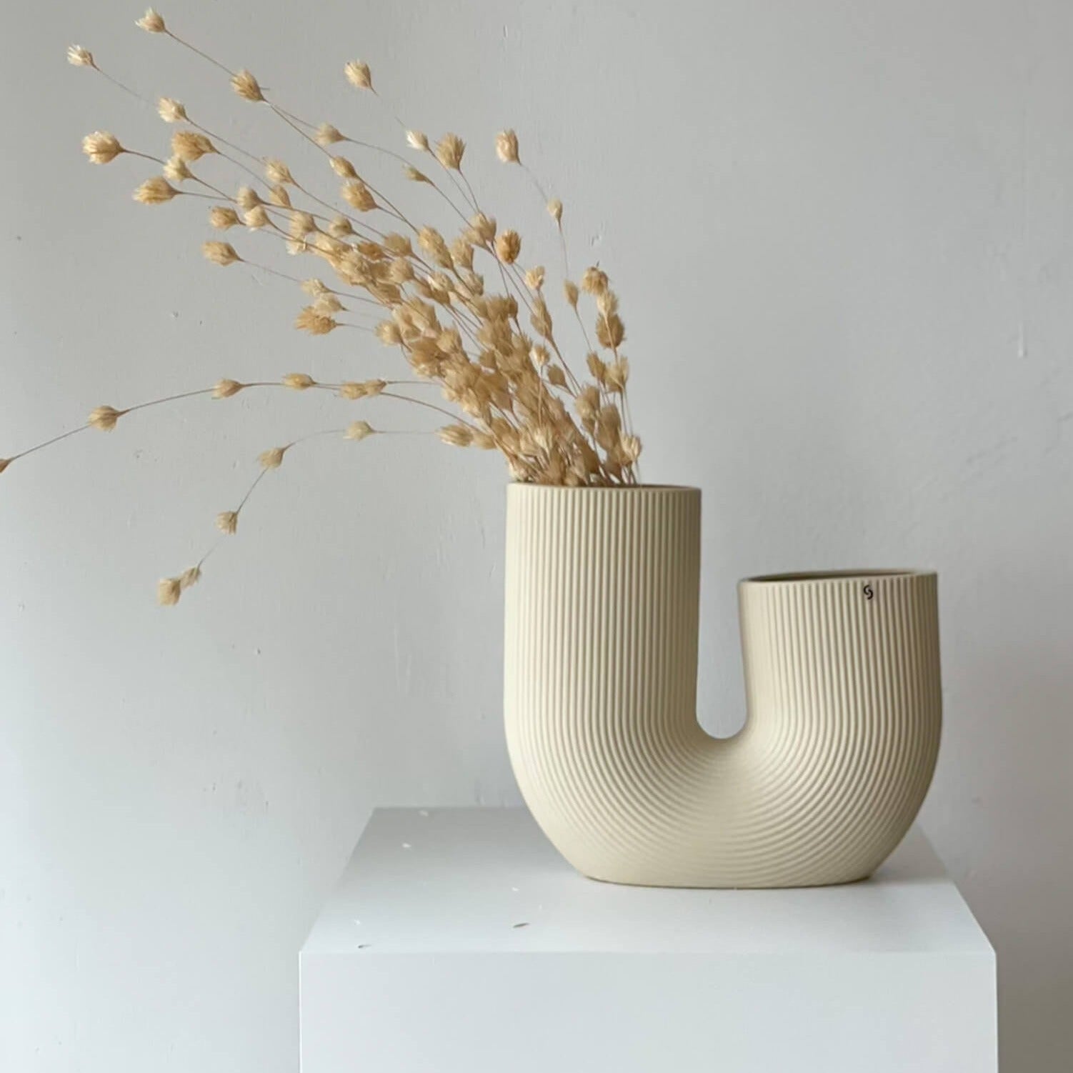 Bambusblüten getrocknet | 45 cm - Größe: klein - Farbe: weiß