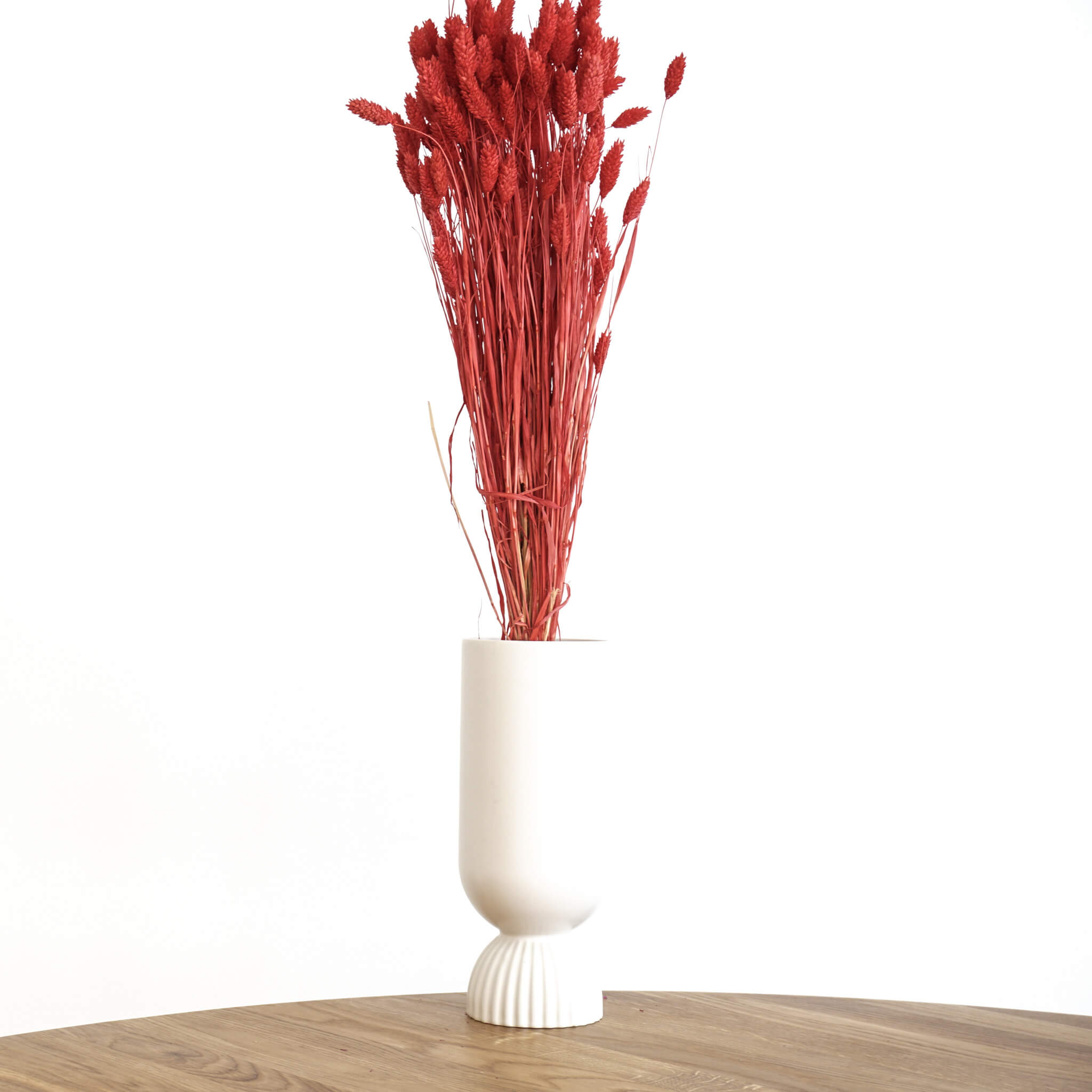 Trockenblume Phalaris I Kanariengras | rot| ca. 60 cm - Größe: 10 Stiele rot