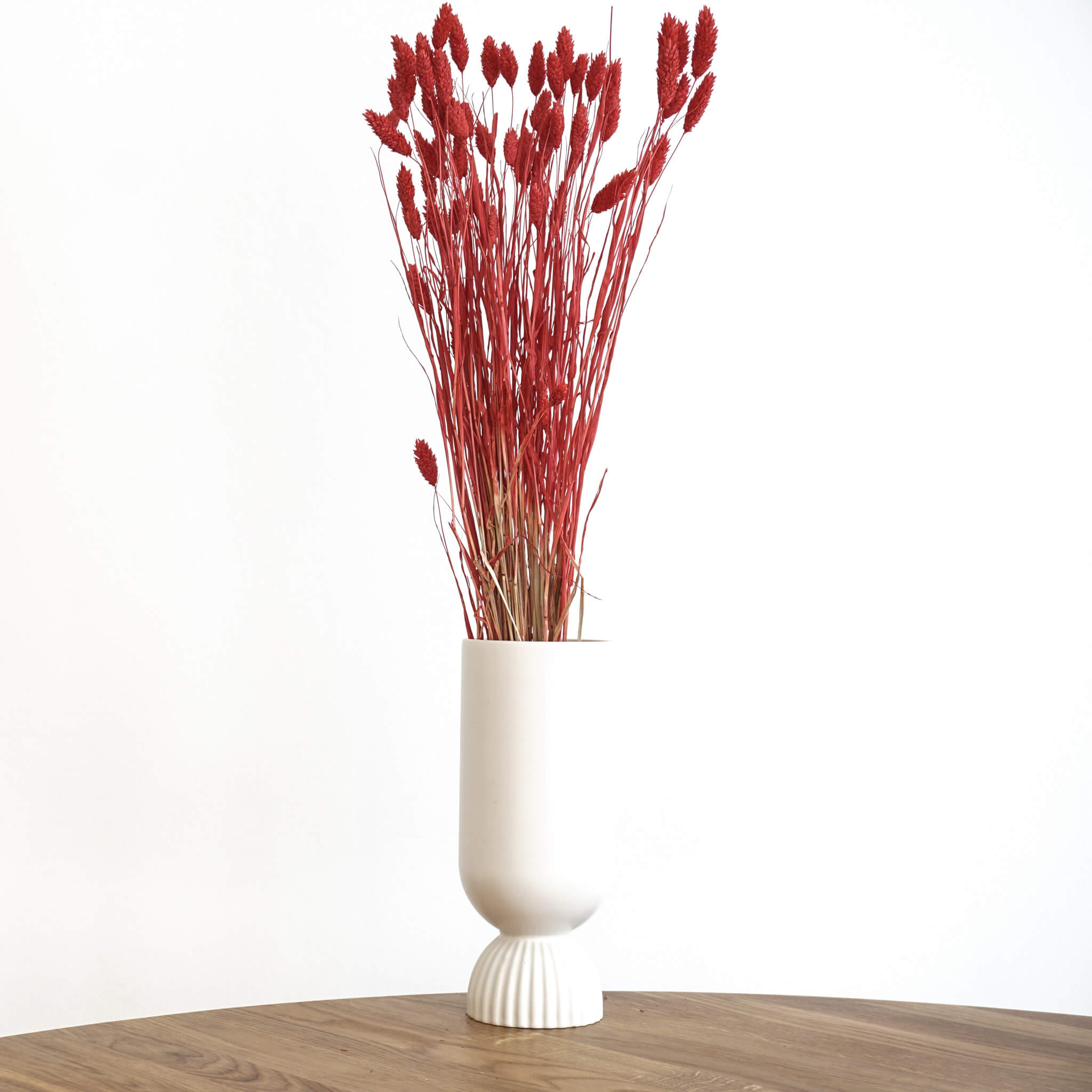 Trockenblume Phalaris I Kanariengras | rot | ca. 60 cm - Größe: 30 Stiele rot