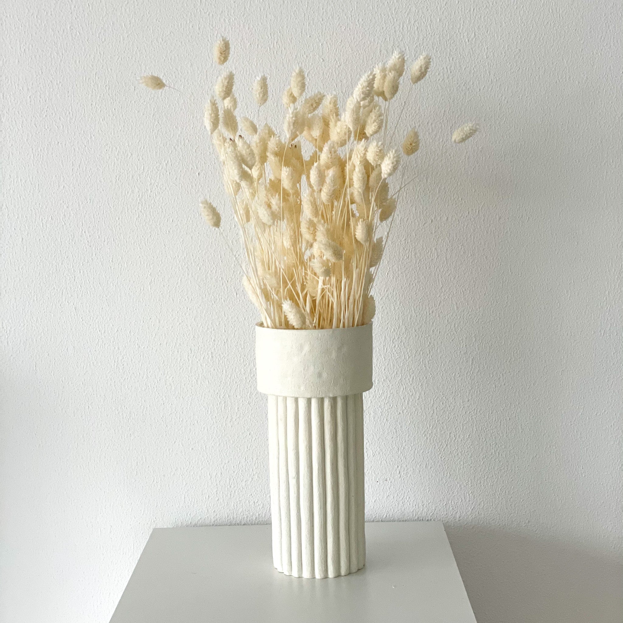 Trockenblume Phalaris I Kanariengras | weiss | ca. 60 cm - Größe: 10 Stiele weiß