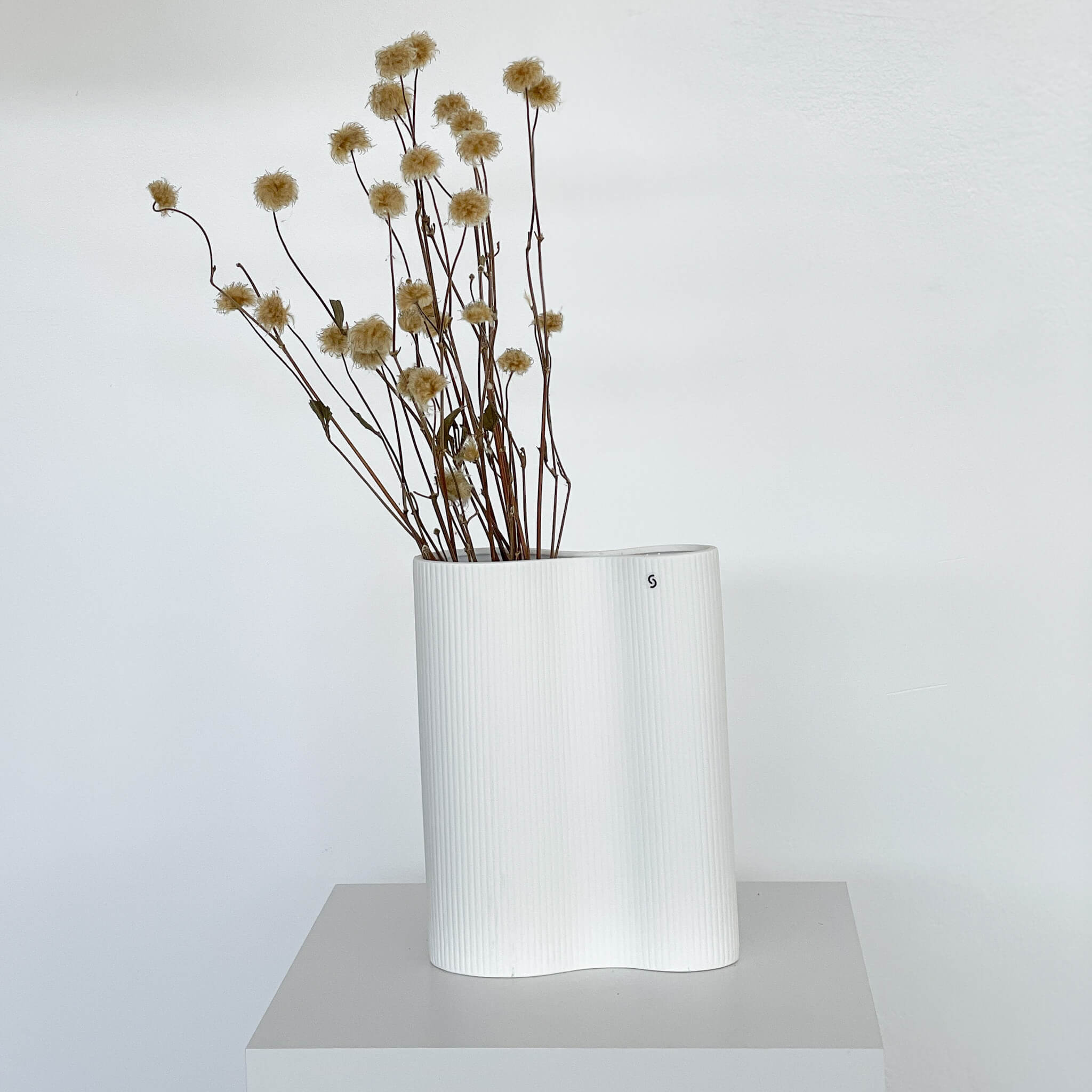 Clematis | natur | 45-55 cm - Farbe: natur