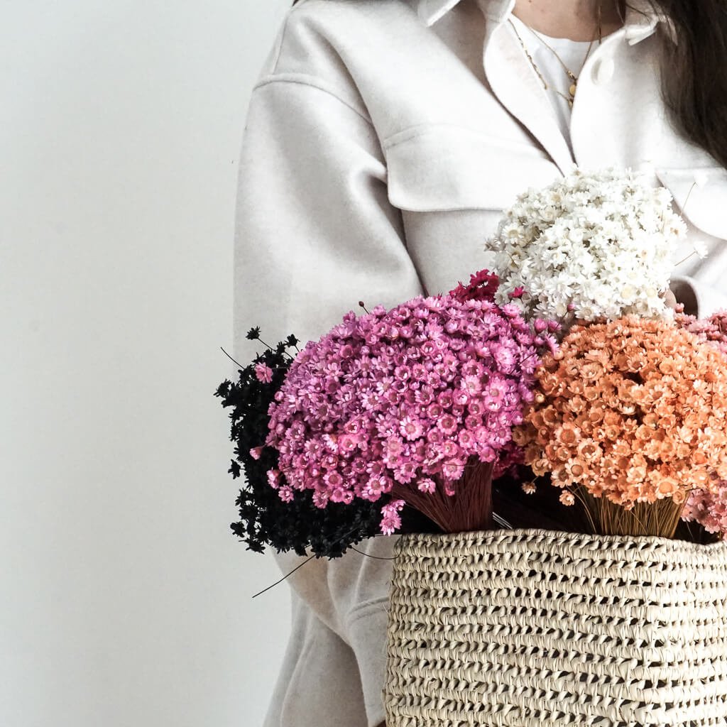 Glixia - Gänseblümchen | weiß, beige, rosa, pink | 50 cm - Farbe: pink, rosa, weiß, apricot, 1 großer Bund