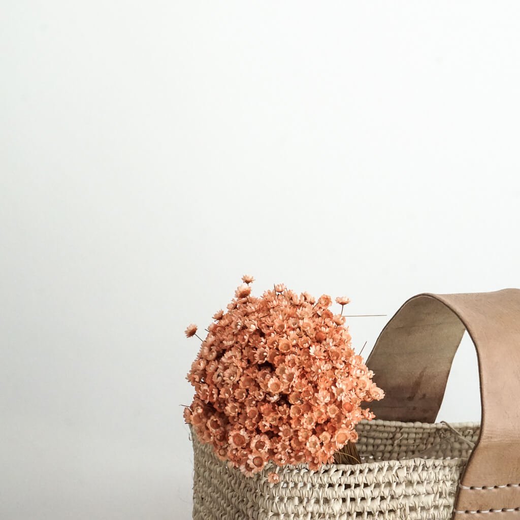 Glixia - Gänseblümchen | | 50 cm - Farbe: apricot ; 1 großer Bund