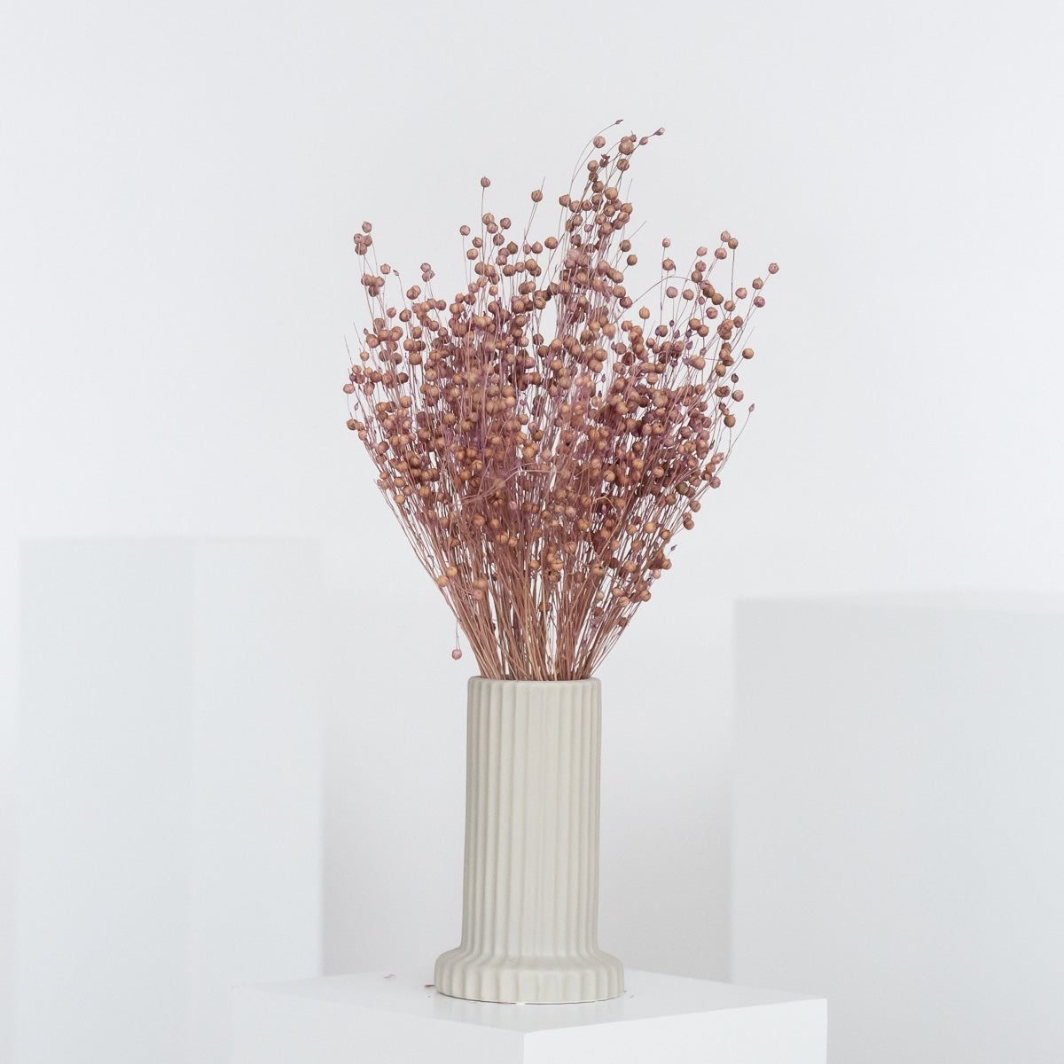 Flachs | Linum - Lykke&You GmbH